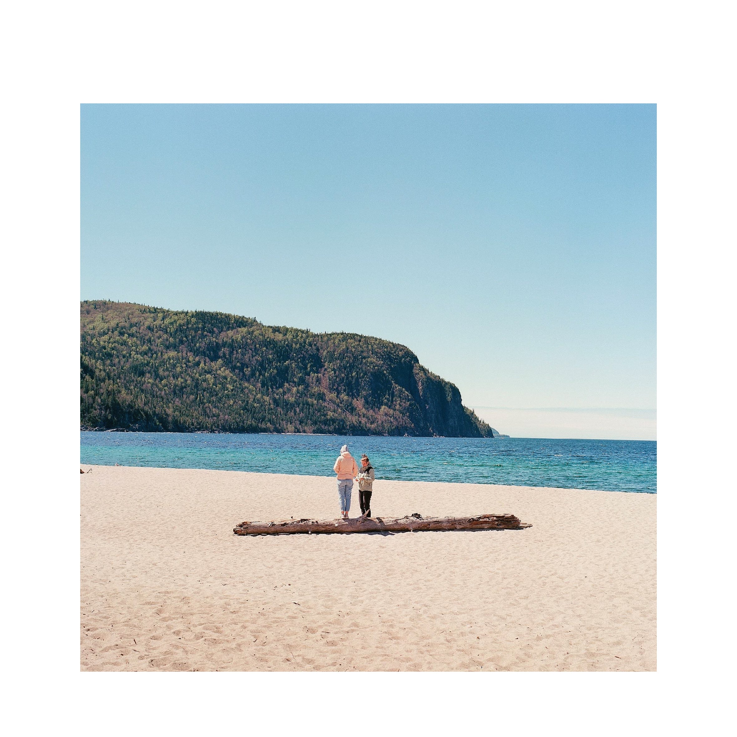 Kodak Ektar 100 120 format