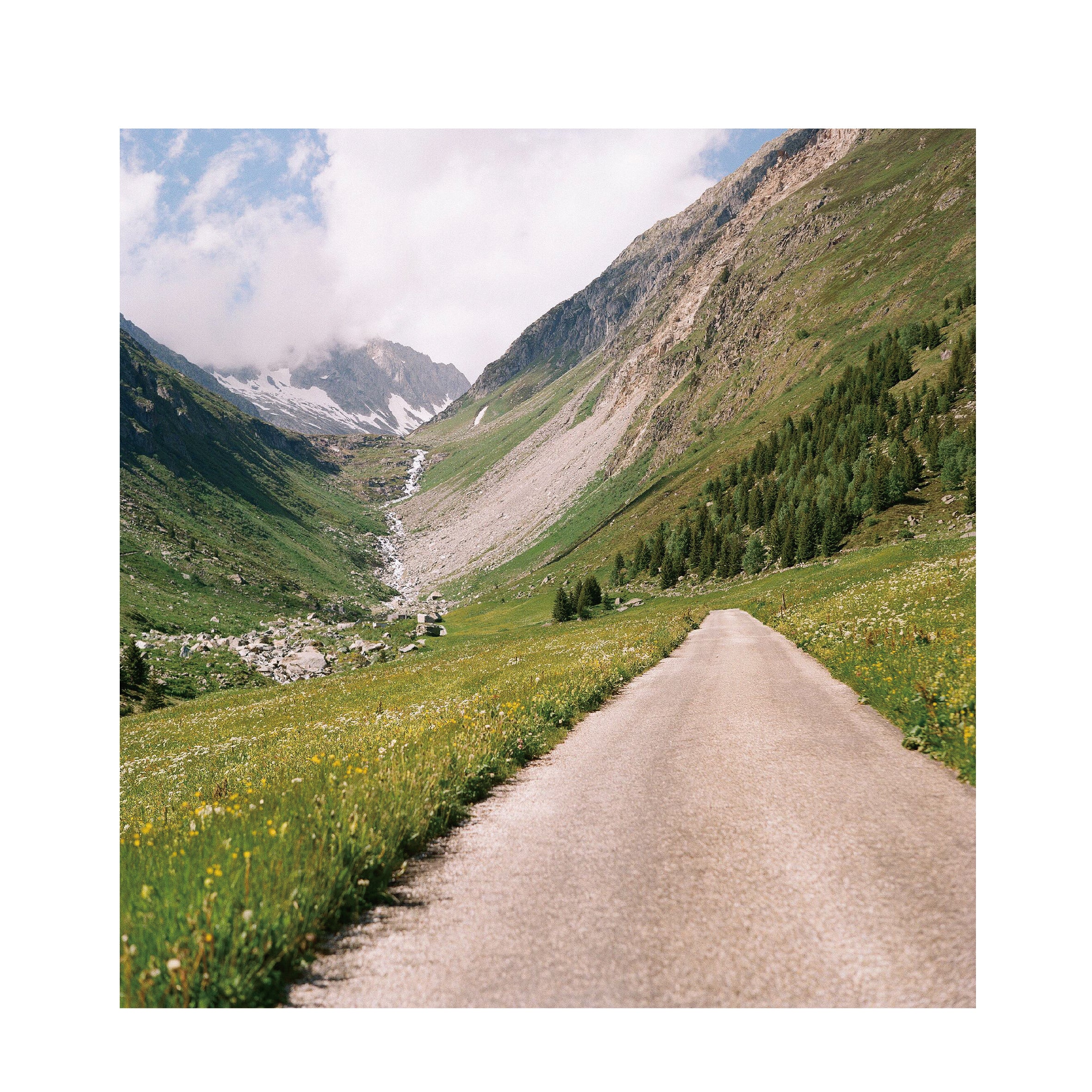 Kodak Gold 200 120 Format