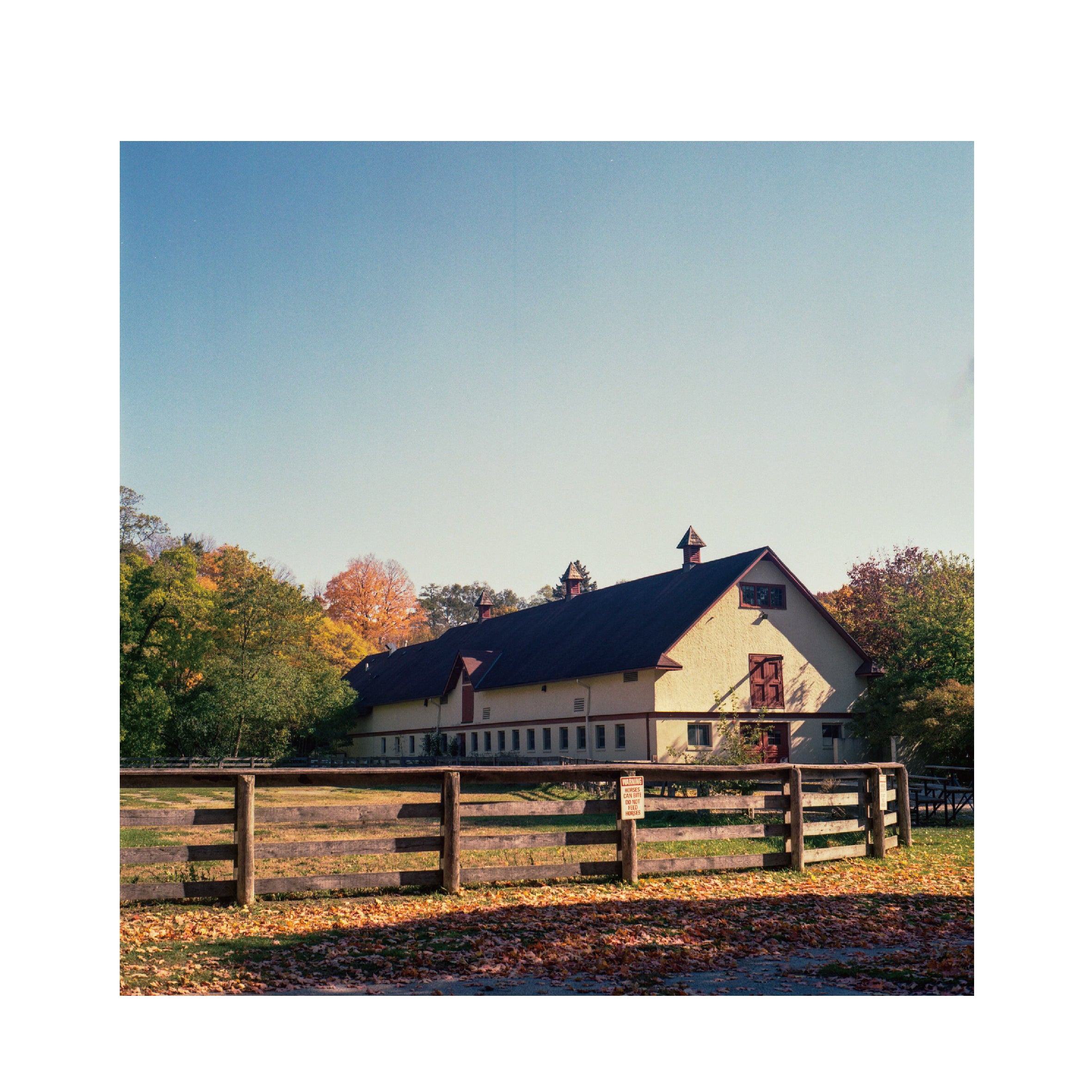 Kodak Gold 200 120 Format