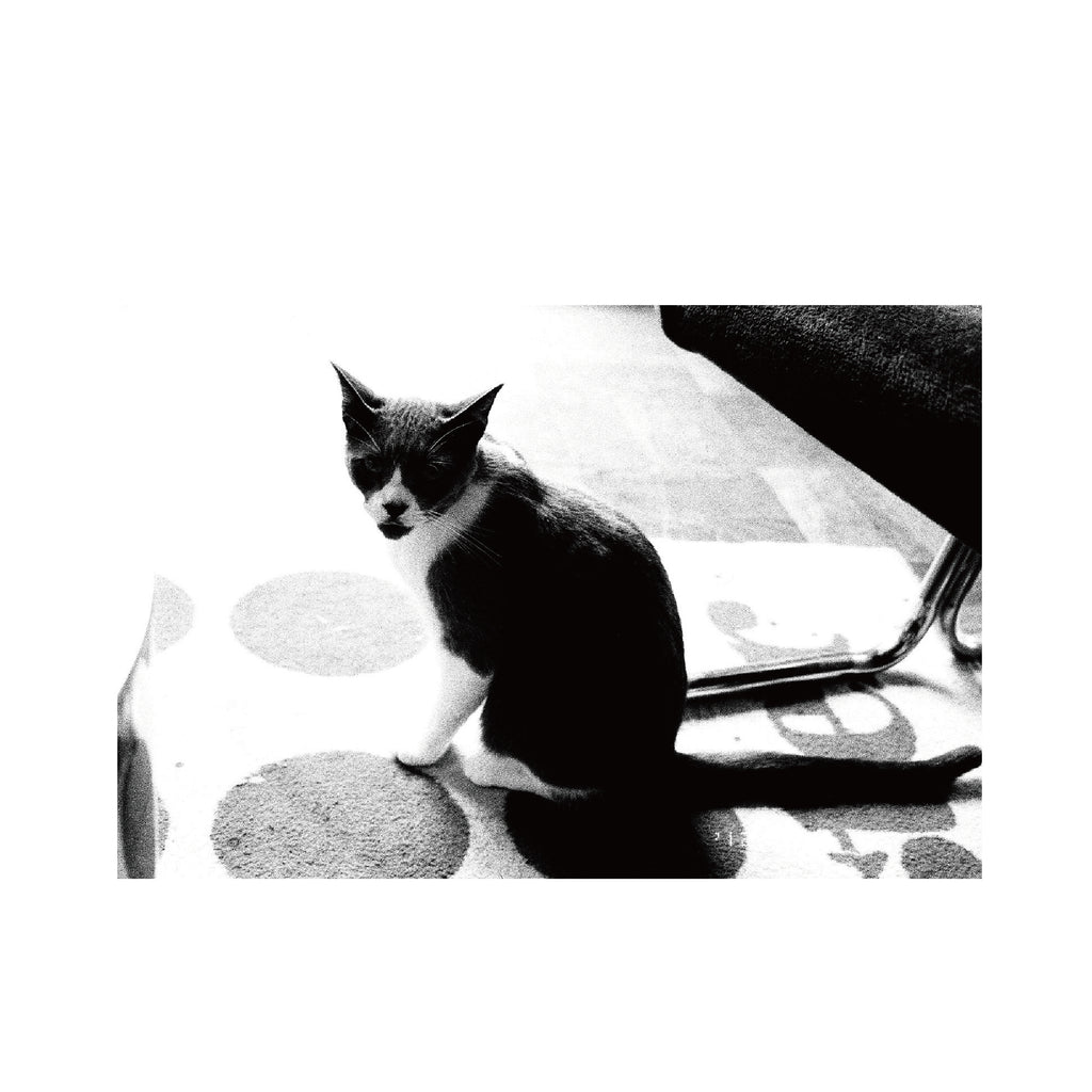 Kodak P3200 TMAX
