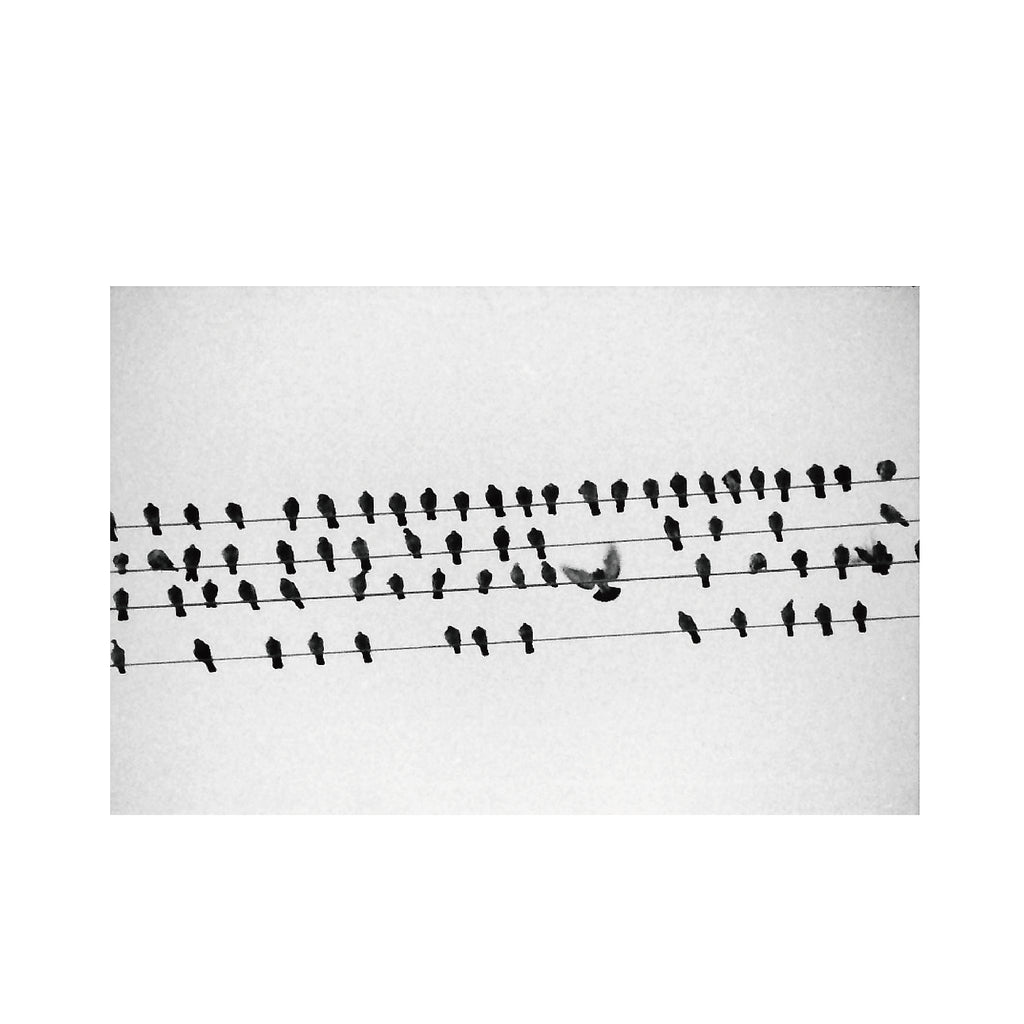 Kodak P3200 TMAX