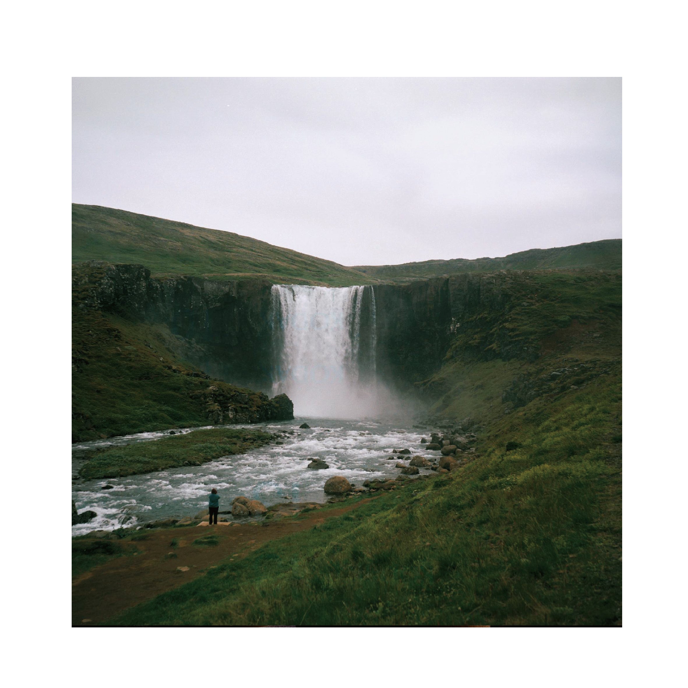 Kodak Portra 160 120 Format