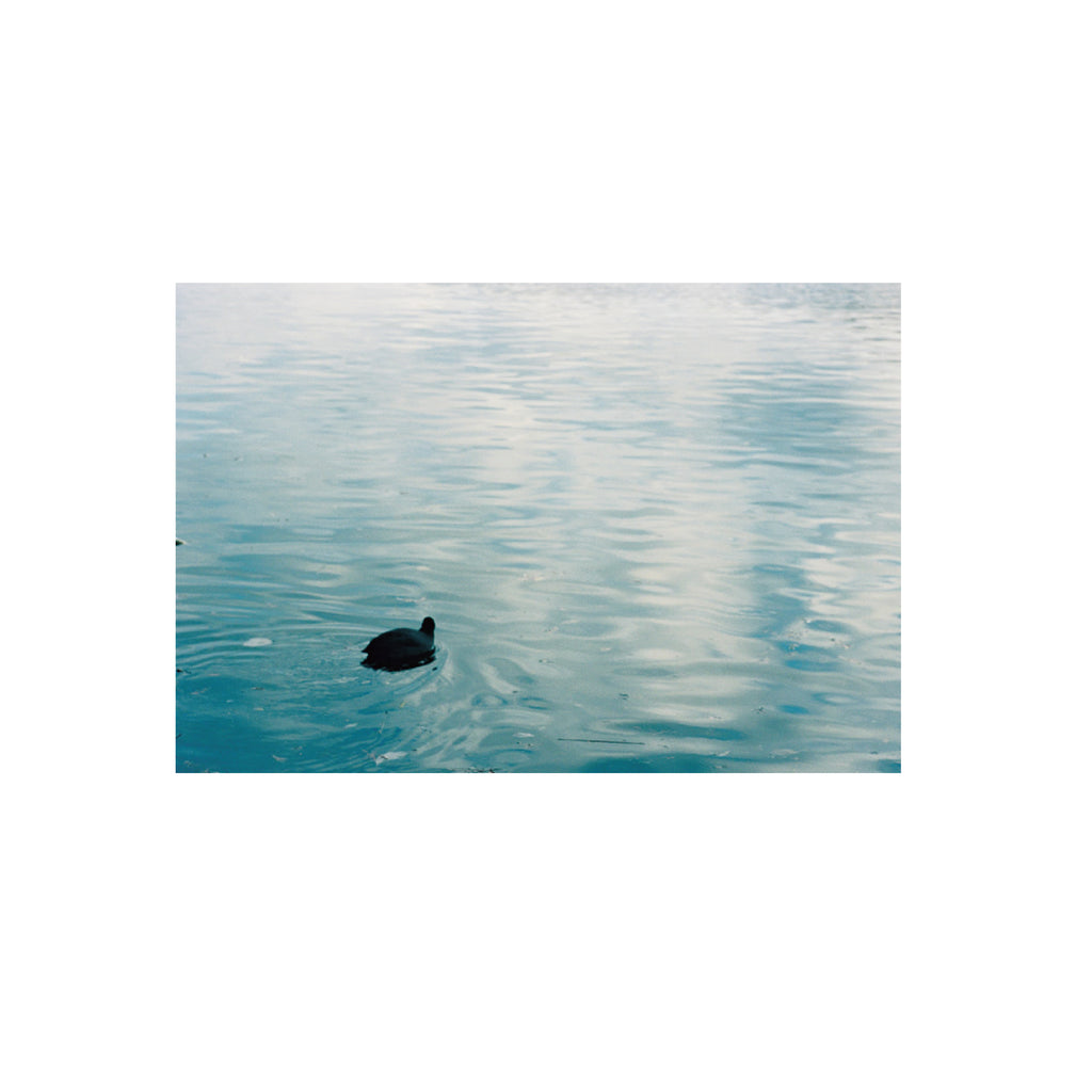 Kodak Portra 160