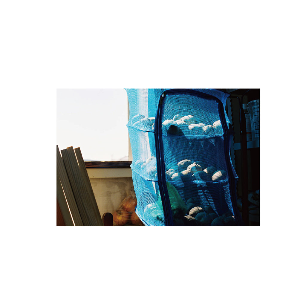 Kodak Portra 400