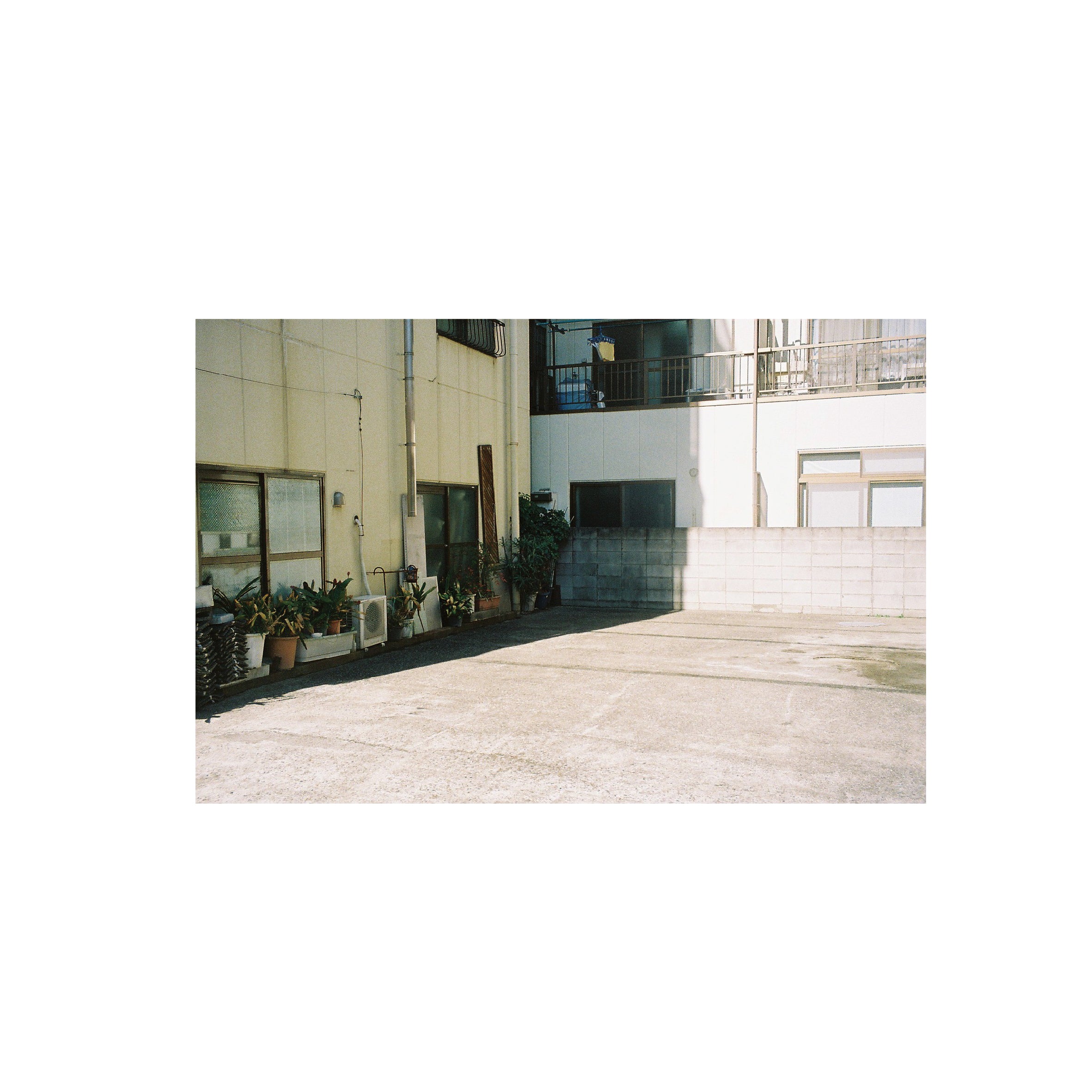 Kodak Portra 800
