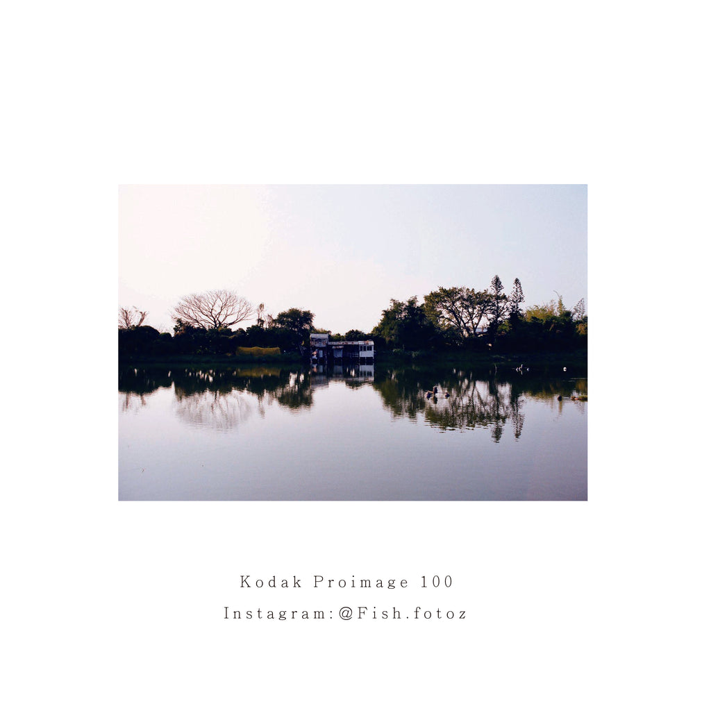 Kodak Proimage 100