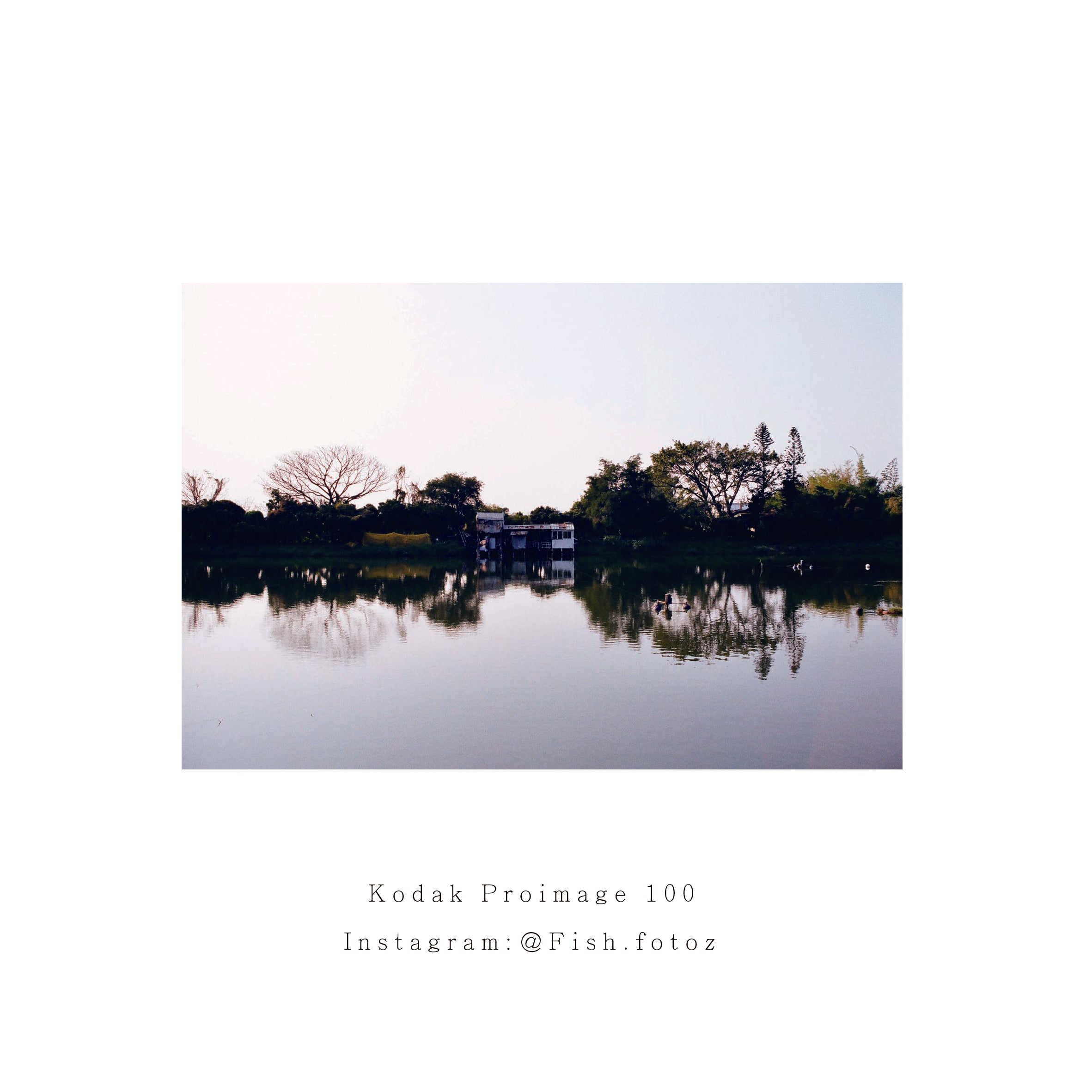 Kodak Proimage 100