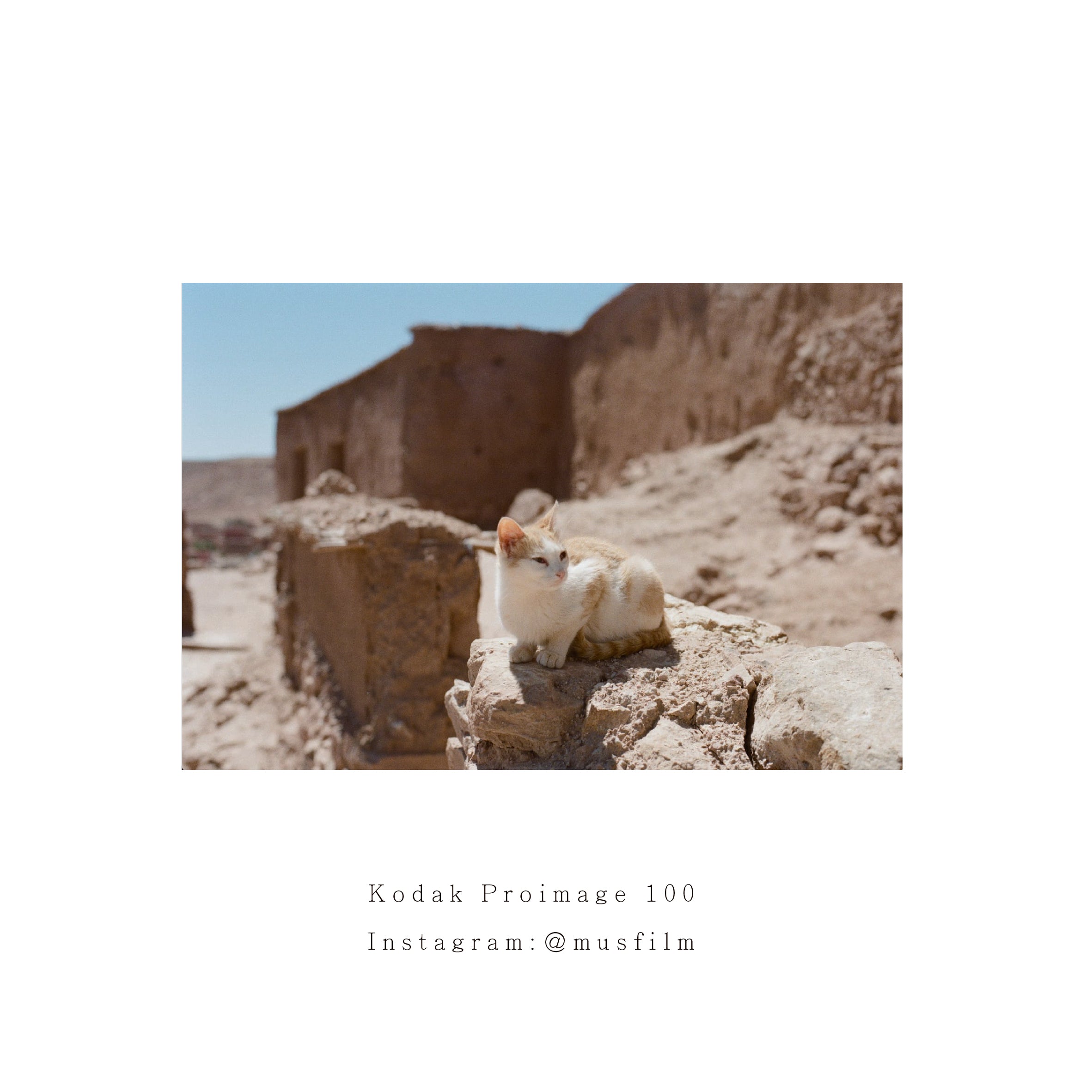 Kodak Proimage 100