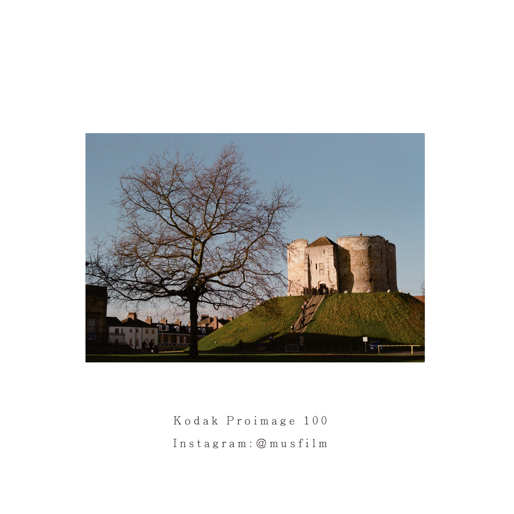Kodak Proimage 100