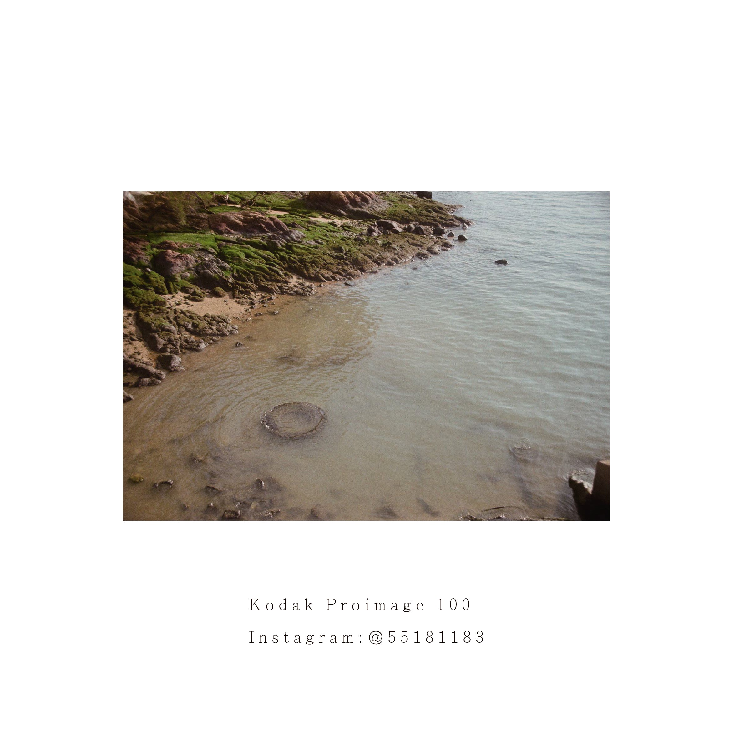 Kodak Proimage 100