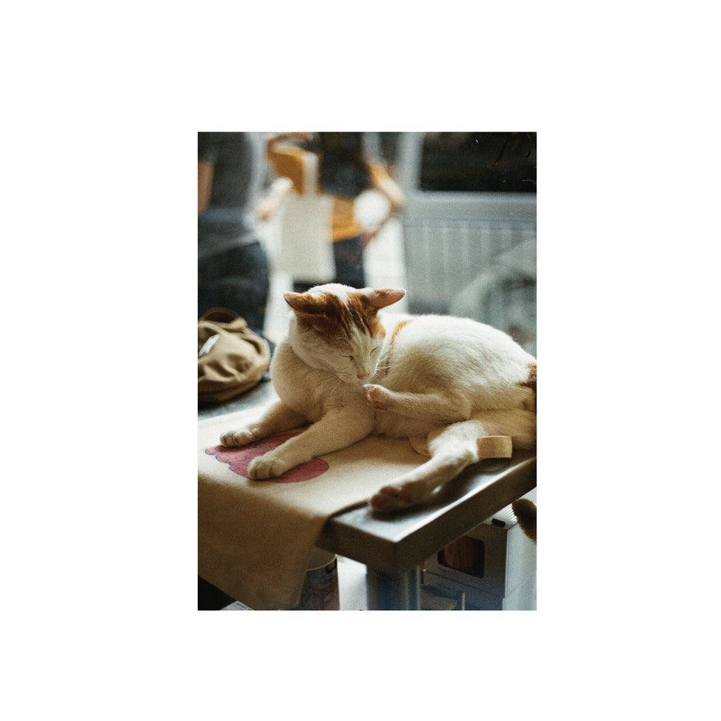 Kodak Ultramax 400