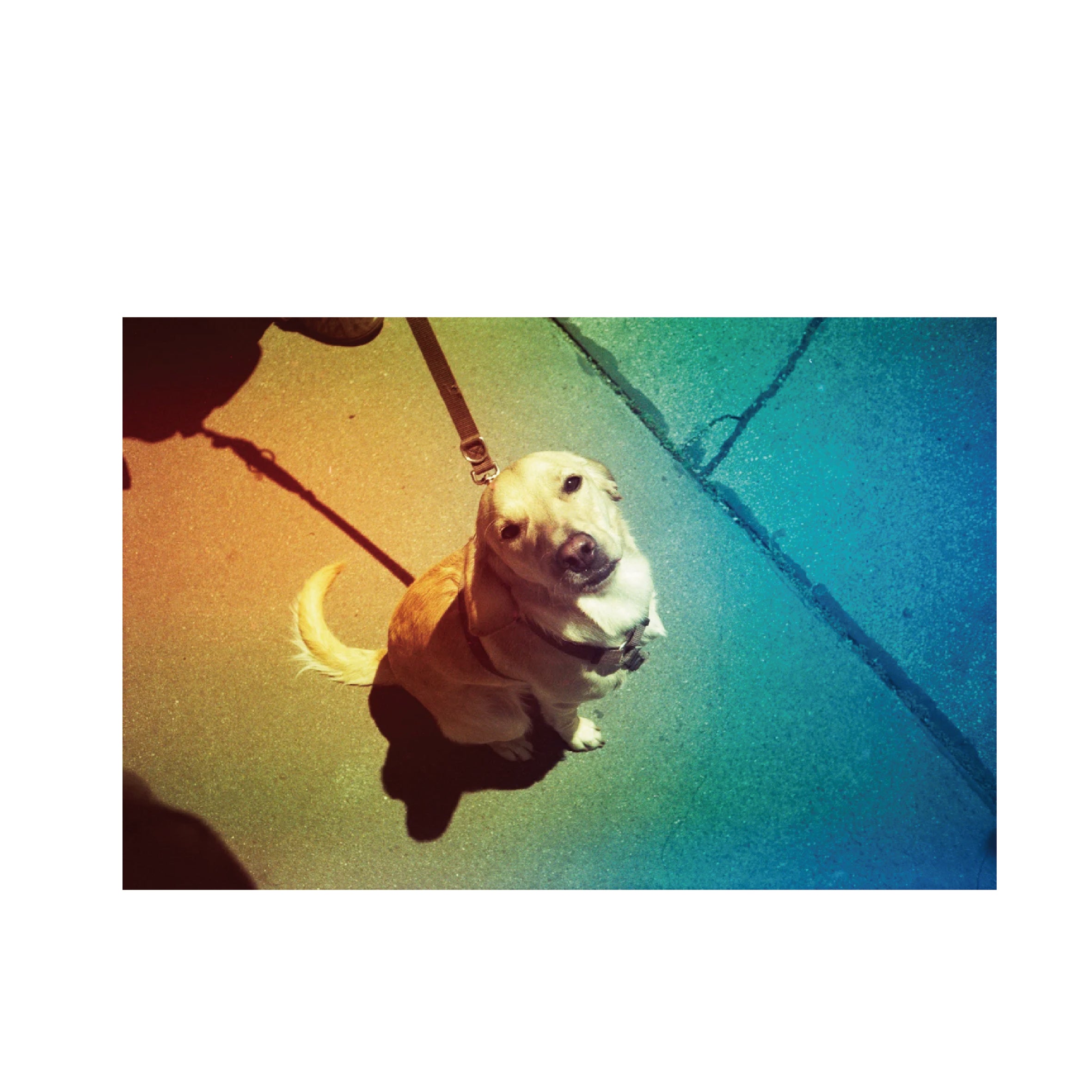 Revolog Kolor 200-400