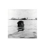 Lomography Ladygrey 400 B&W 120 Format (3 rolls package)