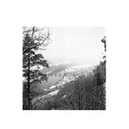 Lomography Ladygrey 400 B&W 120 Format (3 rolls package)