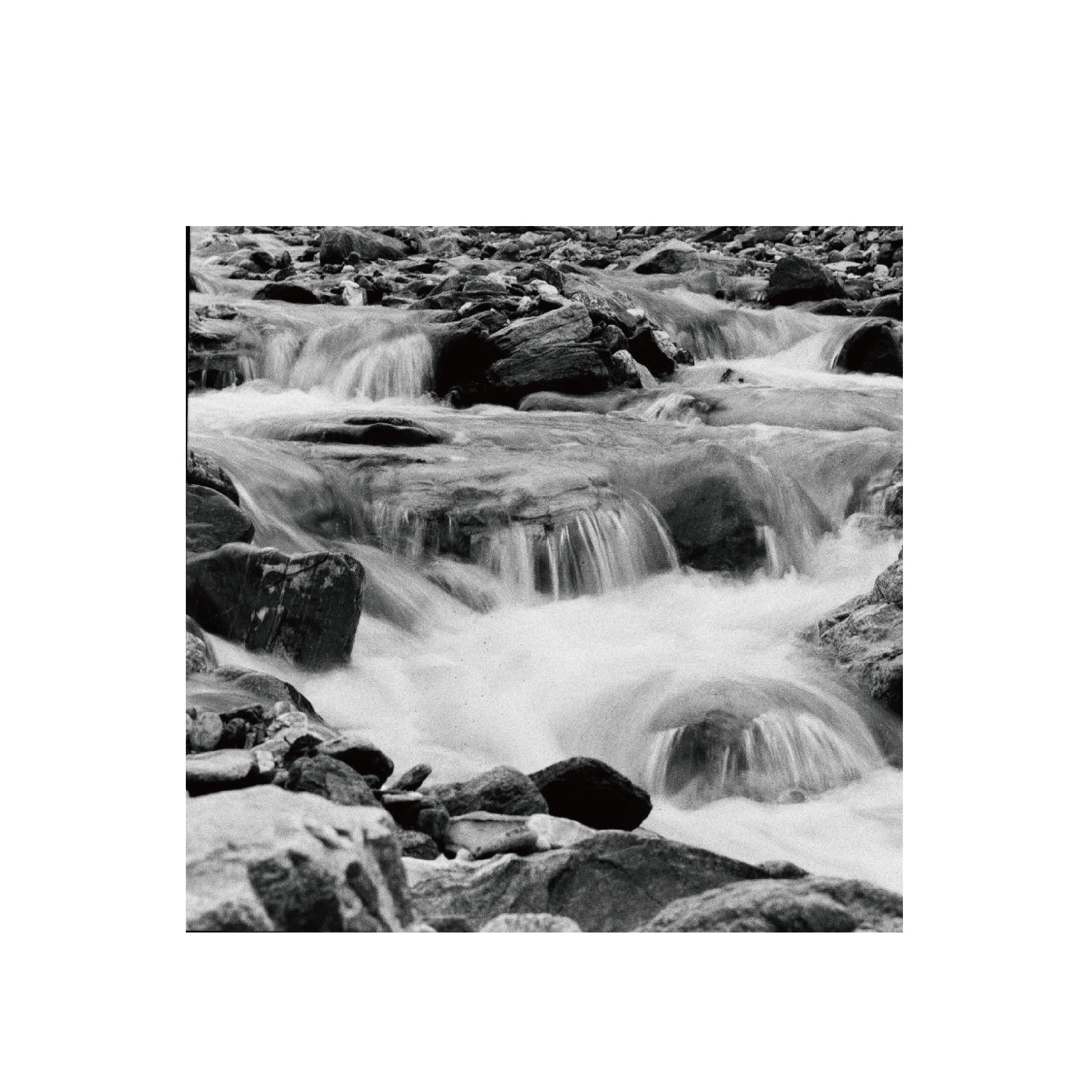 Lomography Ladygrey 400 B&W 120 Format (3 rolls package)