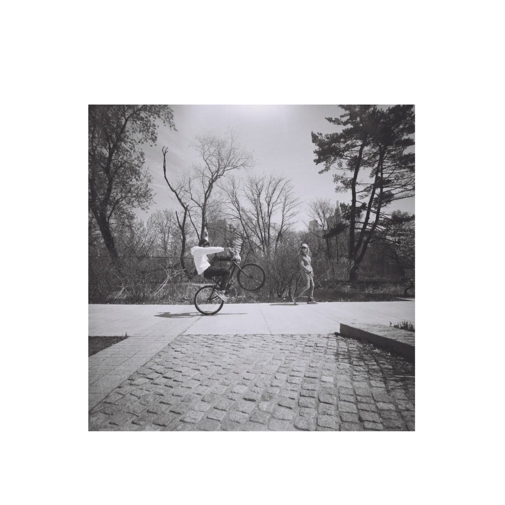 Lomography Ladygrey 400 B&W 120 Format (3 rolls package)