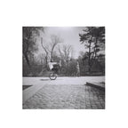 Lomography Ladygrey 400 B&W 120 Format (3 rolls package)