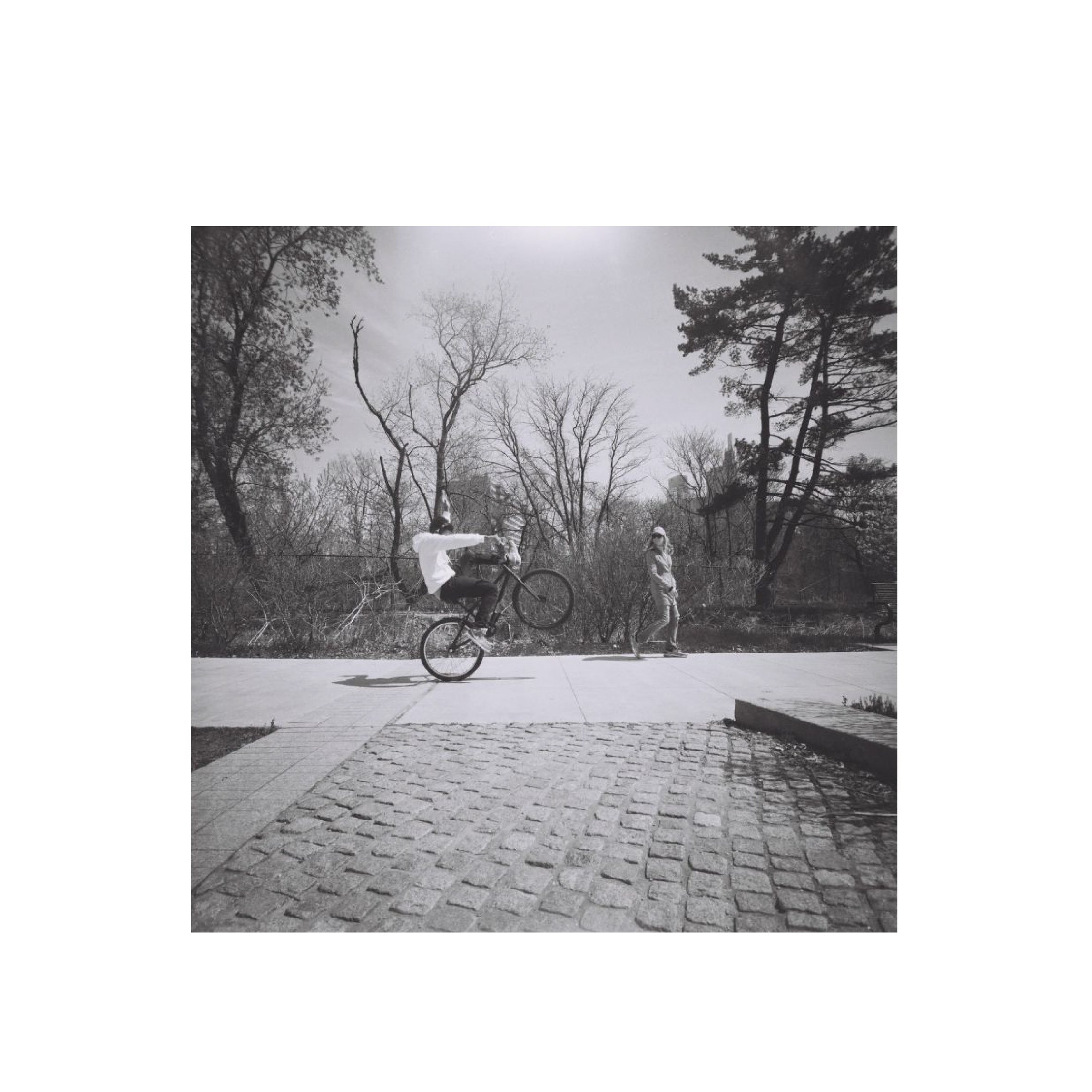 Lomography Ladygrey 400 B&W 120 Format (3 rolls package)