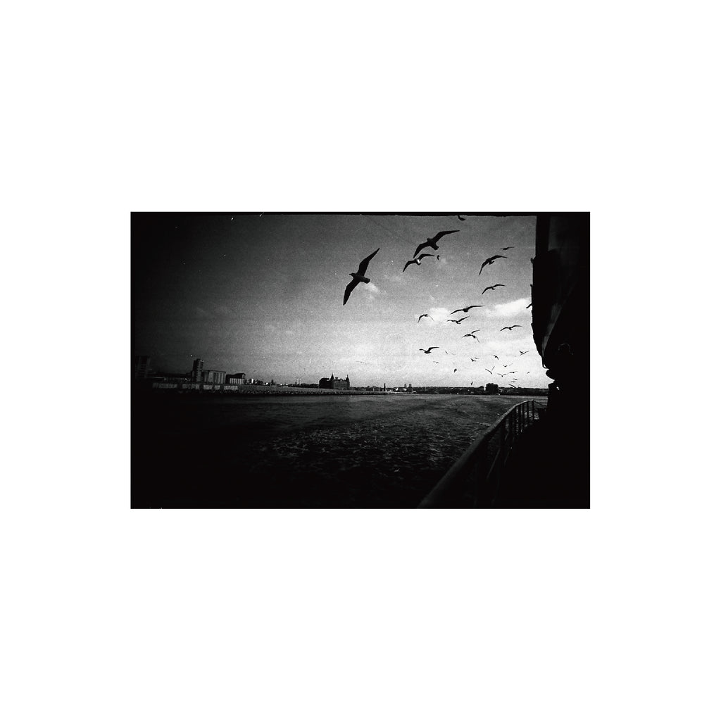 Lomography Lady Grey B&W 400 (3 rolls)