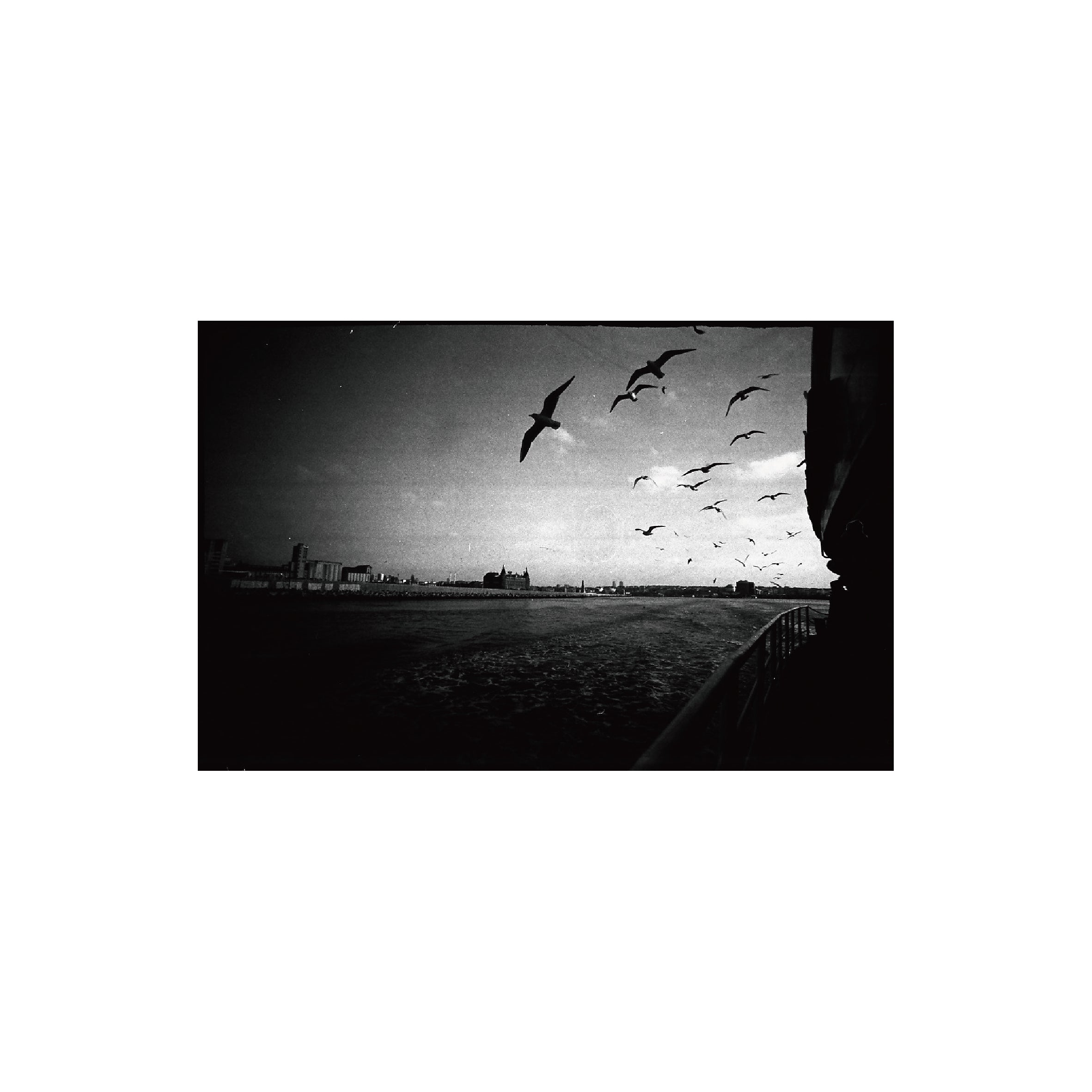 Lomography Lady Grey B&W 400 (3 rolls)