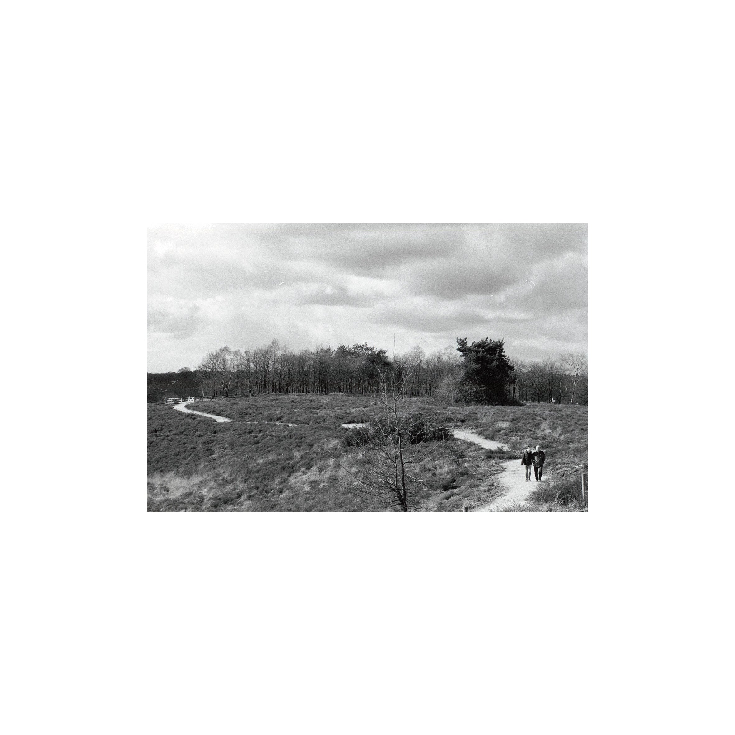 Lomography Lady Grey B&W 400 (3 rolls)