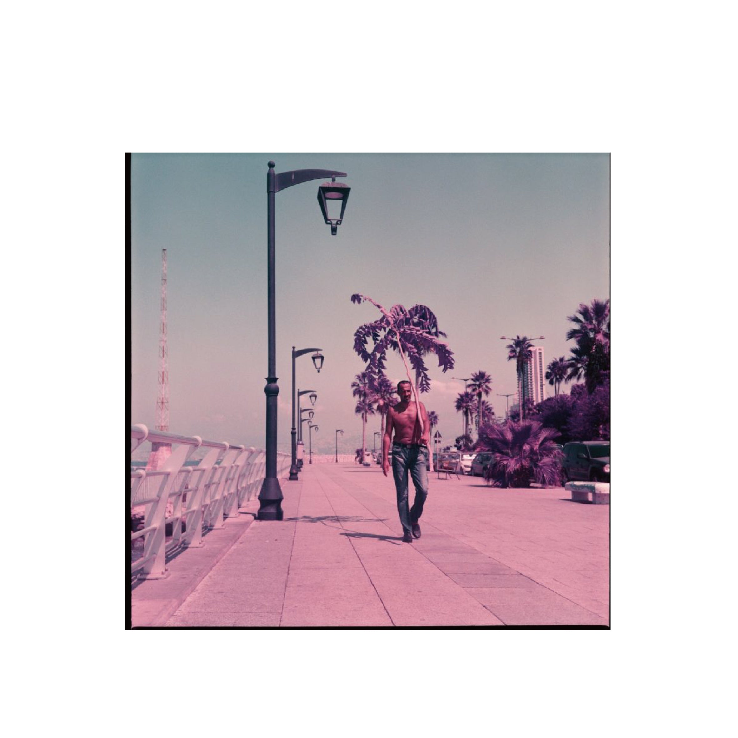 Lomochrome Purple XR 100-400 120 format