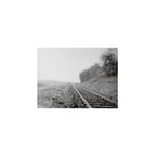 Lomography Earl Grey B&W 100 (3 rolls)
