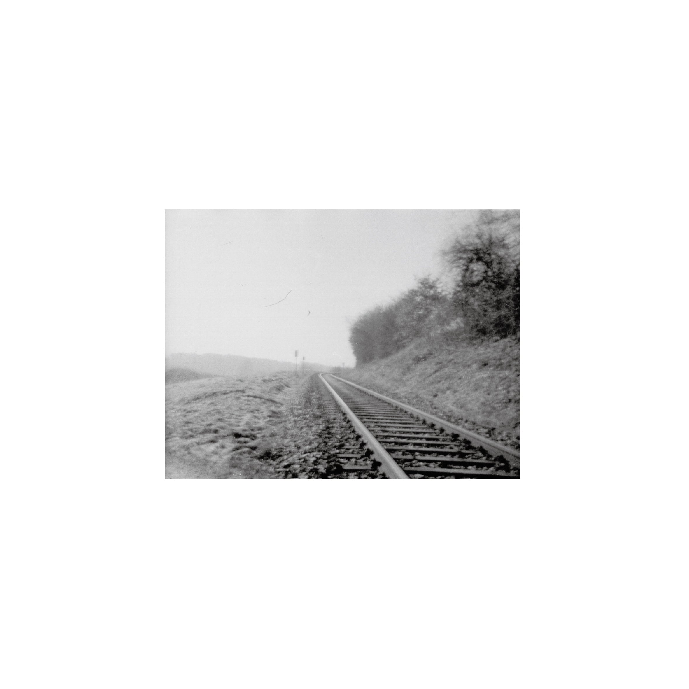 Lomography Earl Grey B&W 100 (3 rolls)