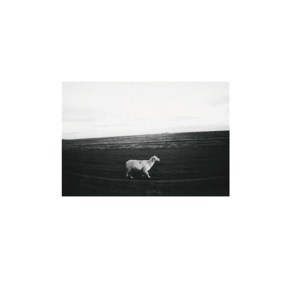Lomography Earl Grey B&W 100 (3 rolls)