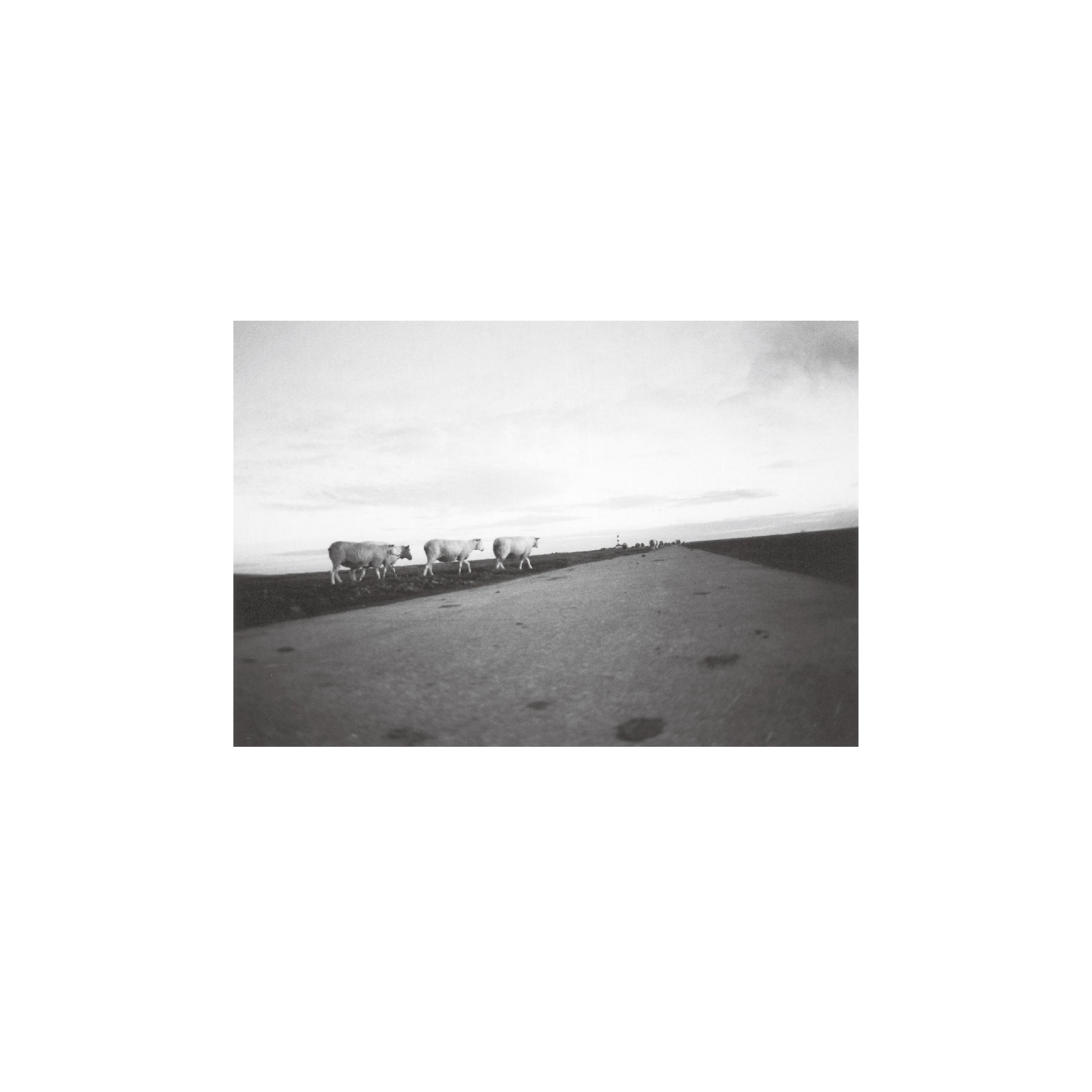 Lomography Earl Grey B&W 100 (3 rolls)