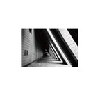 Lomography Earl Grey B&W 100 (3 rolls)