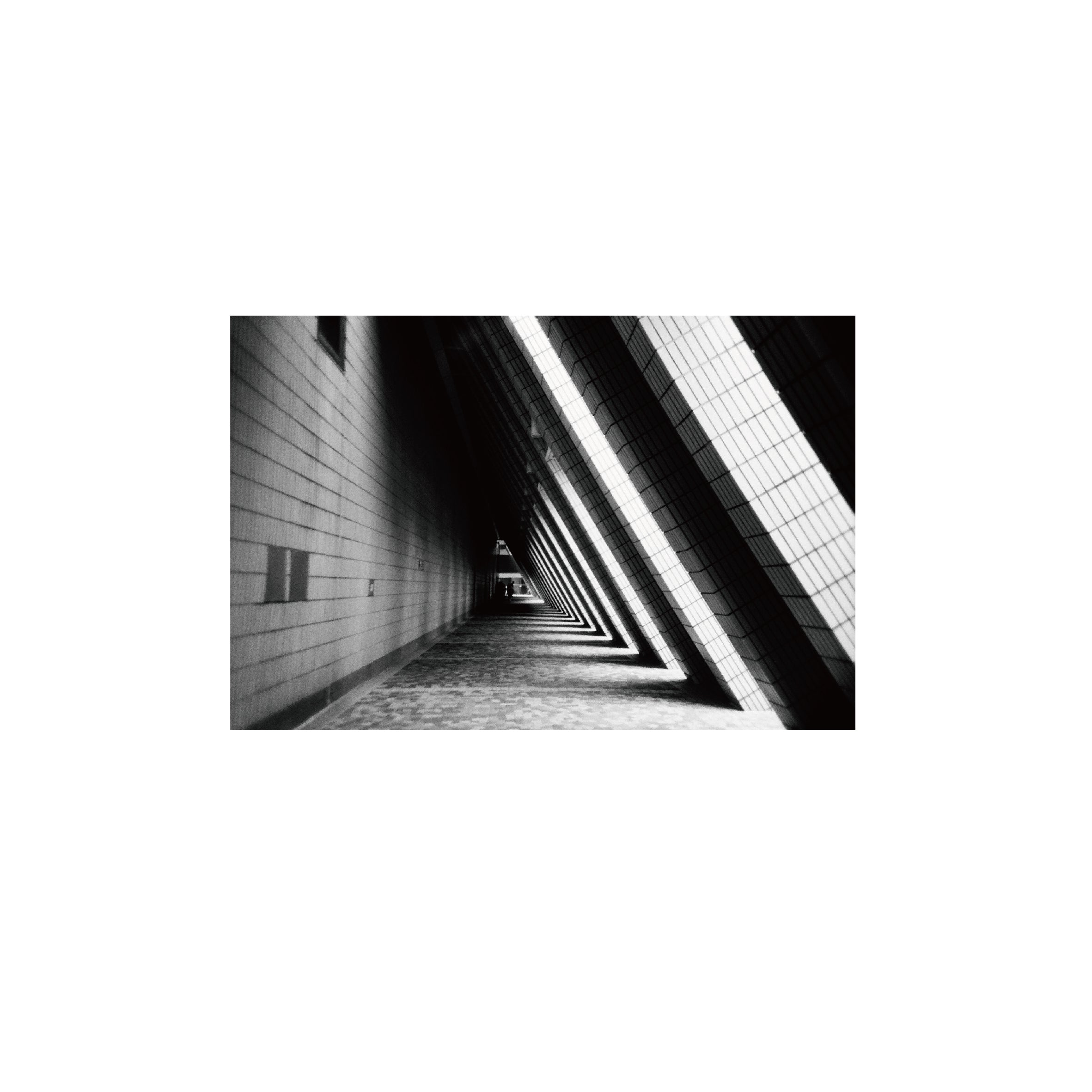 Lomography Earl Grey B&W 100 (3 rolls)