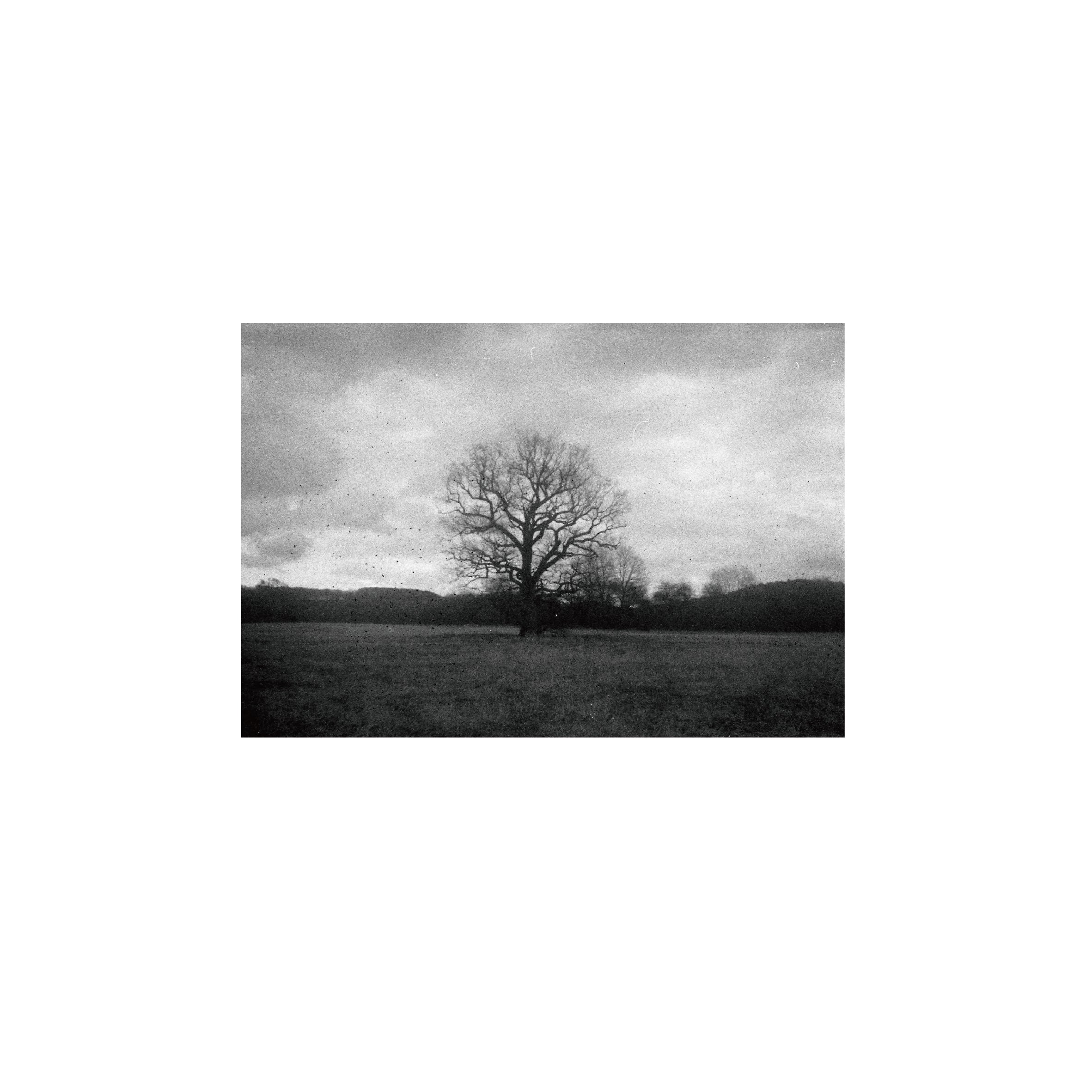 Lomography Earl Grey B&W 100 (3 rolls)