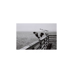 Lomography Earl Grey B&W 100 (3 rolls)