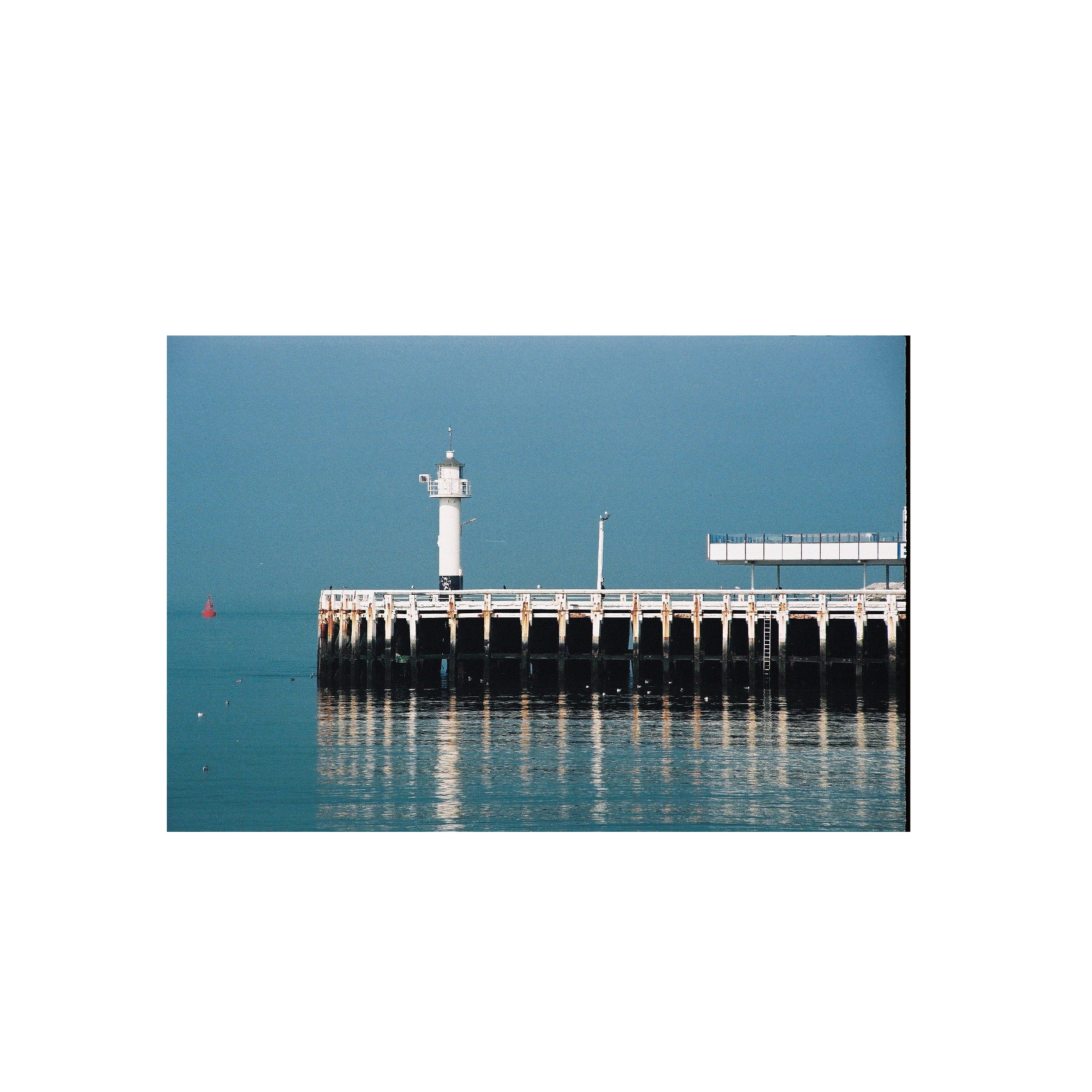 Lomography Color Negative 100 (3 rolls)