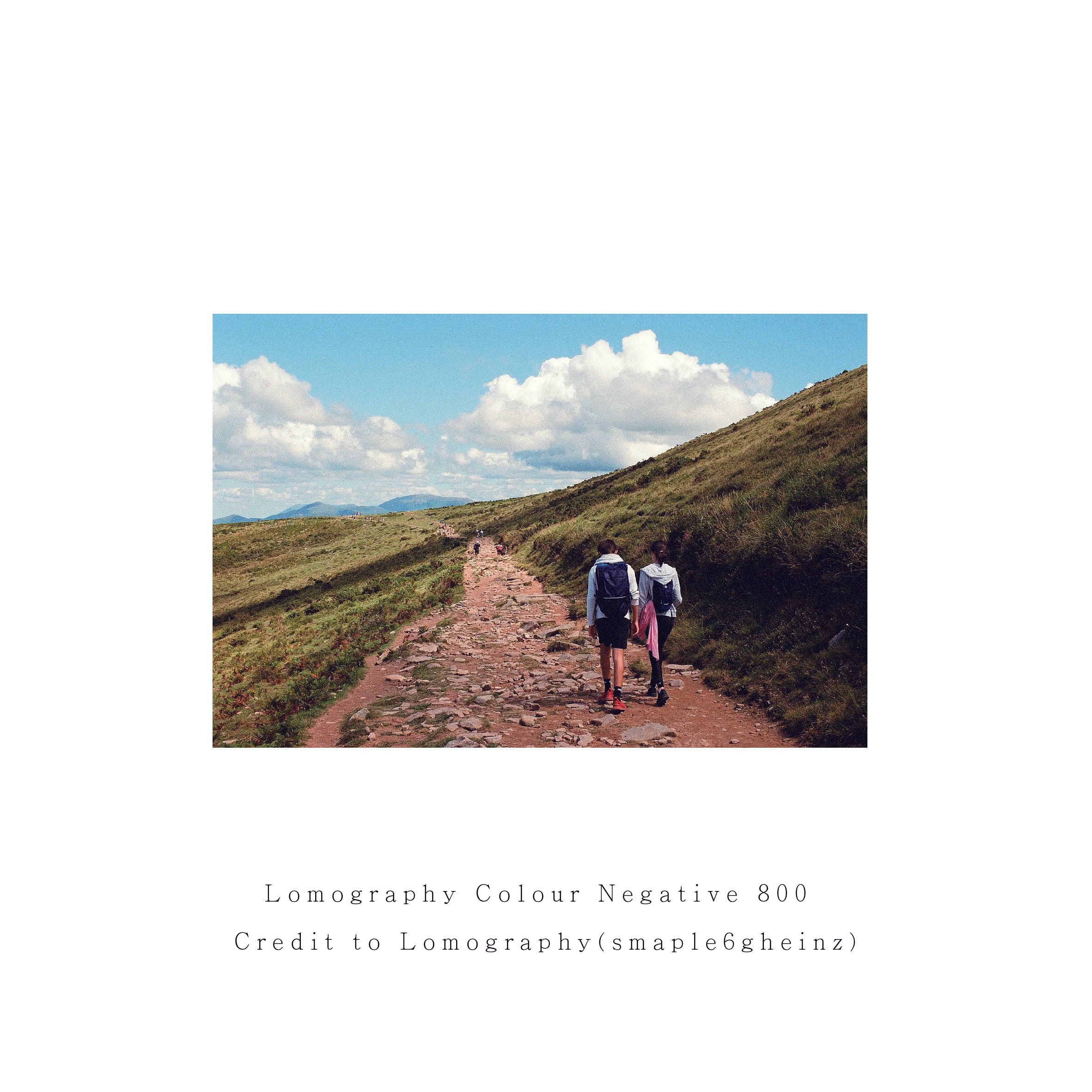 Lomography Color Negative 800 (3 rolls)