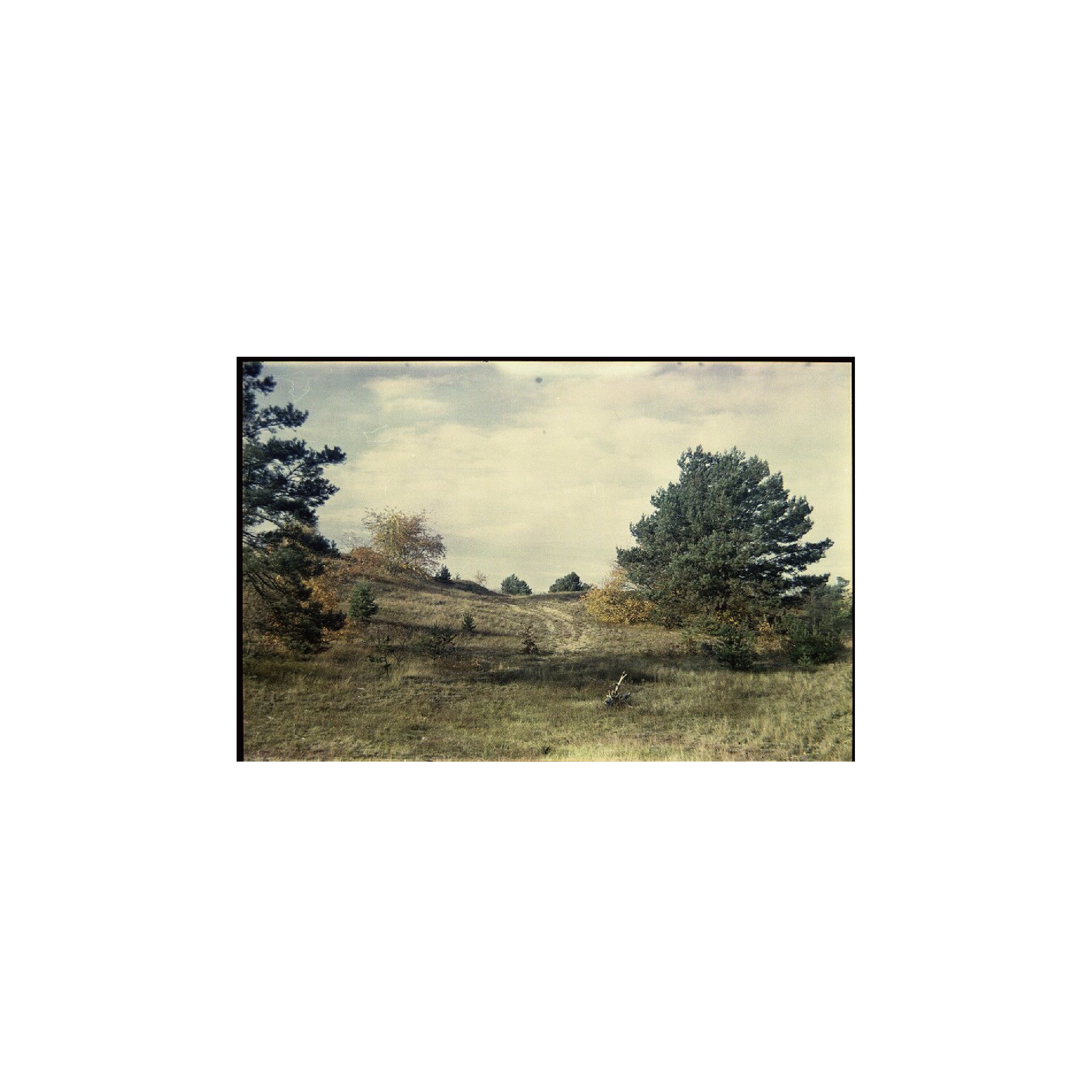 Lomochrome Metropolis 100-400