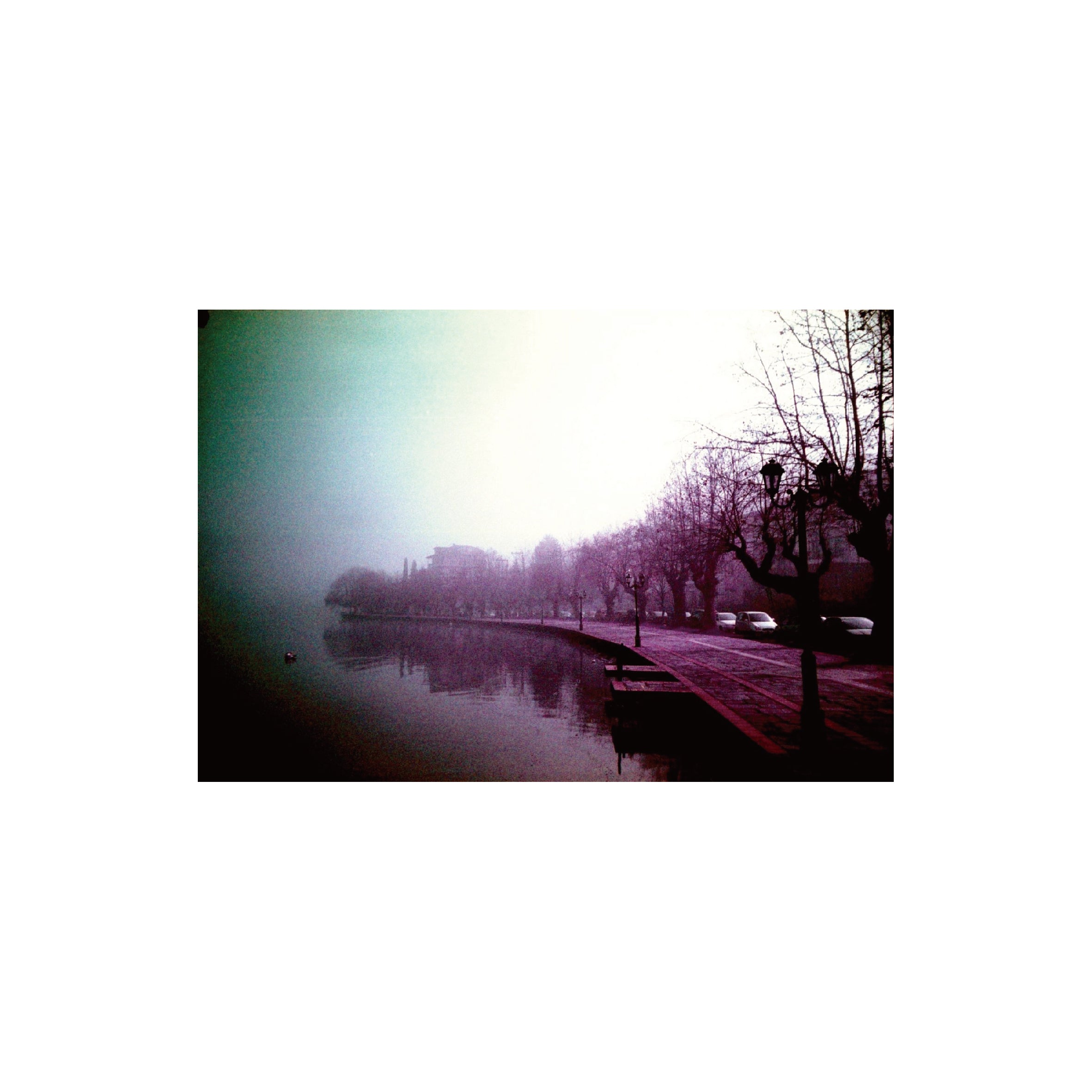 Lomochrome Purple 100-400