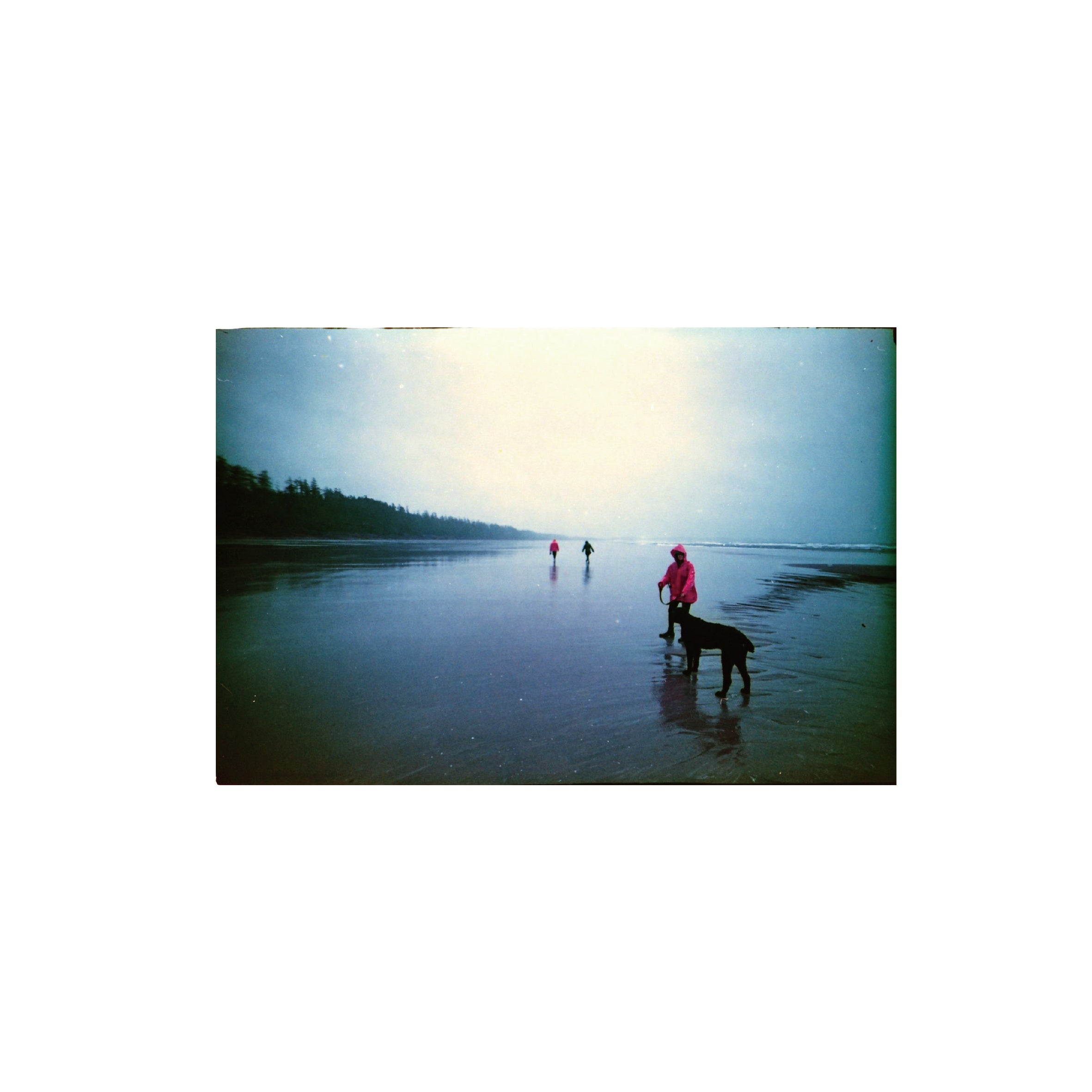 Lomochrome Purple 100-400