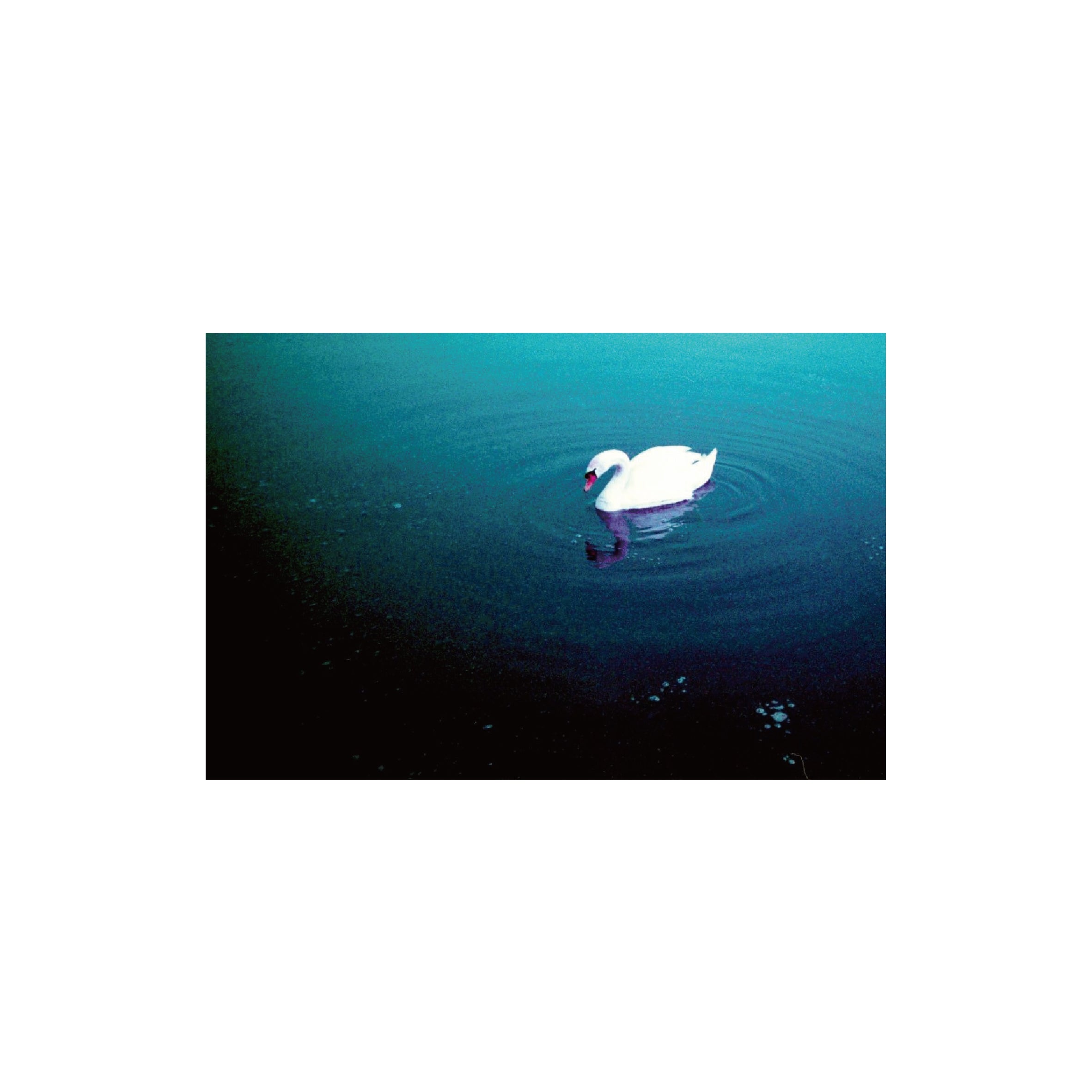 Lomochrome Purple 100-400