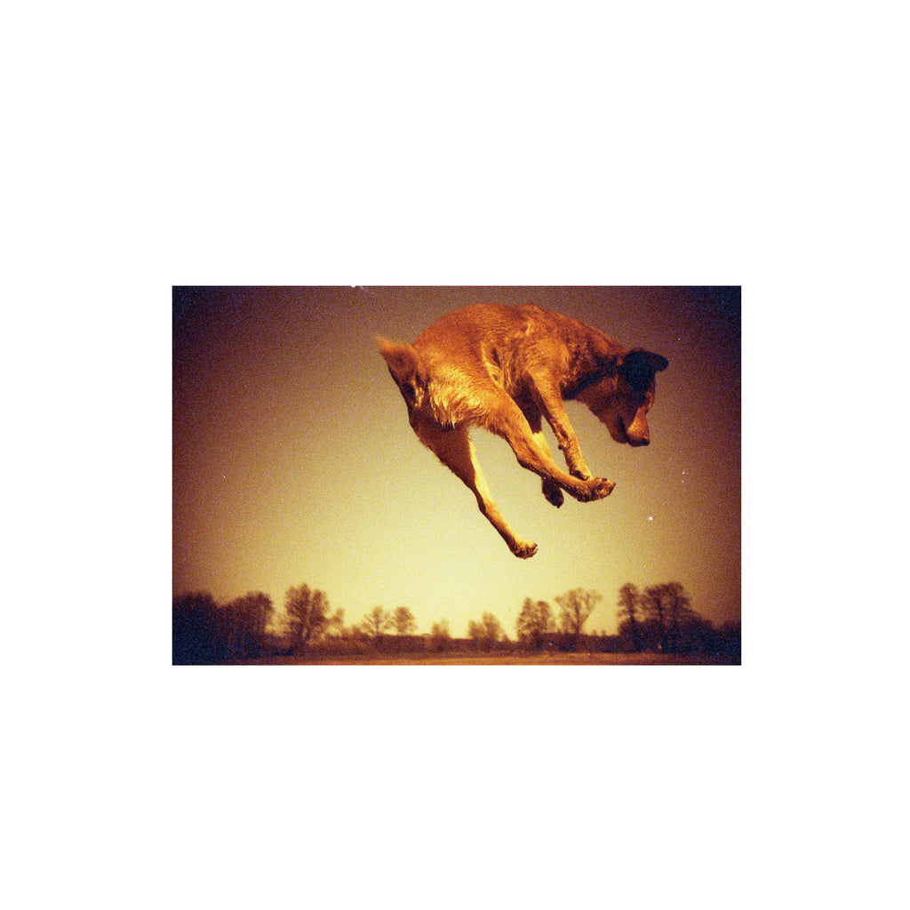 Lomography Redscale XR 50-200 (3 rolls)