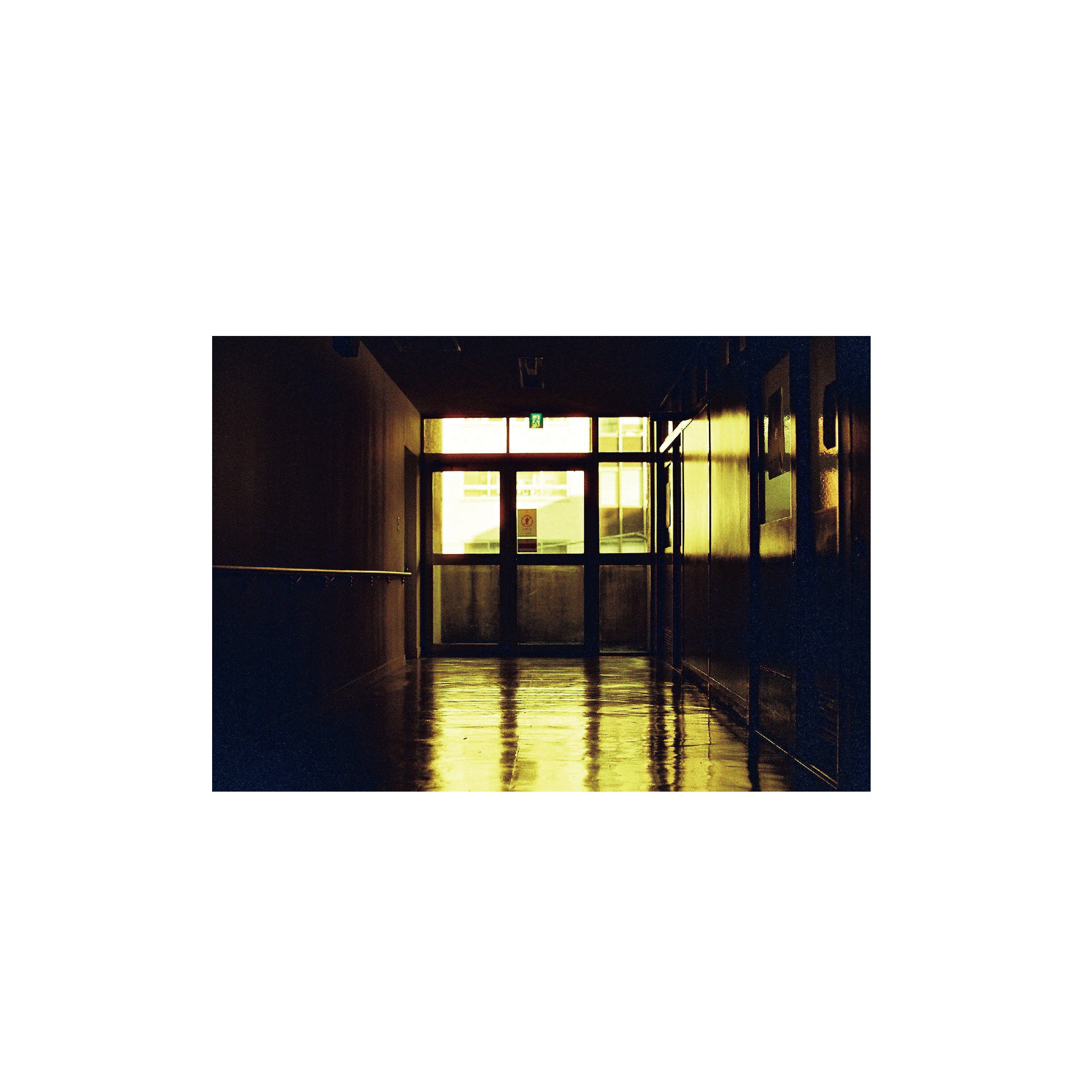 Lomography Redscale XR 50-200 (3 rolls)