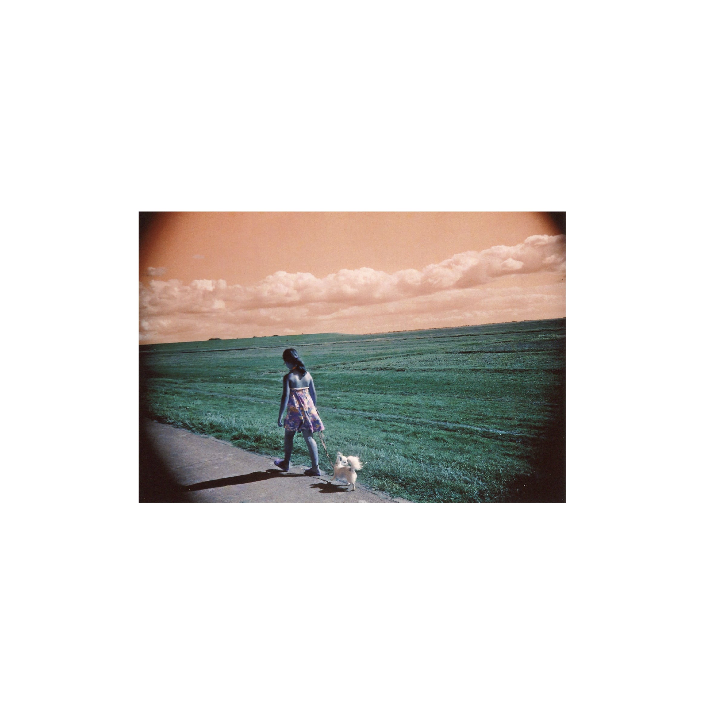 LomoChrome Turquoise 100–400