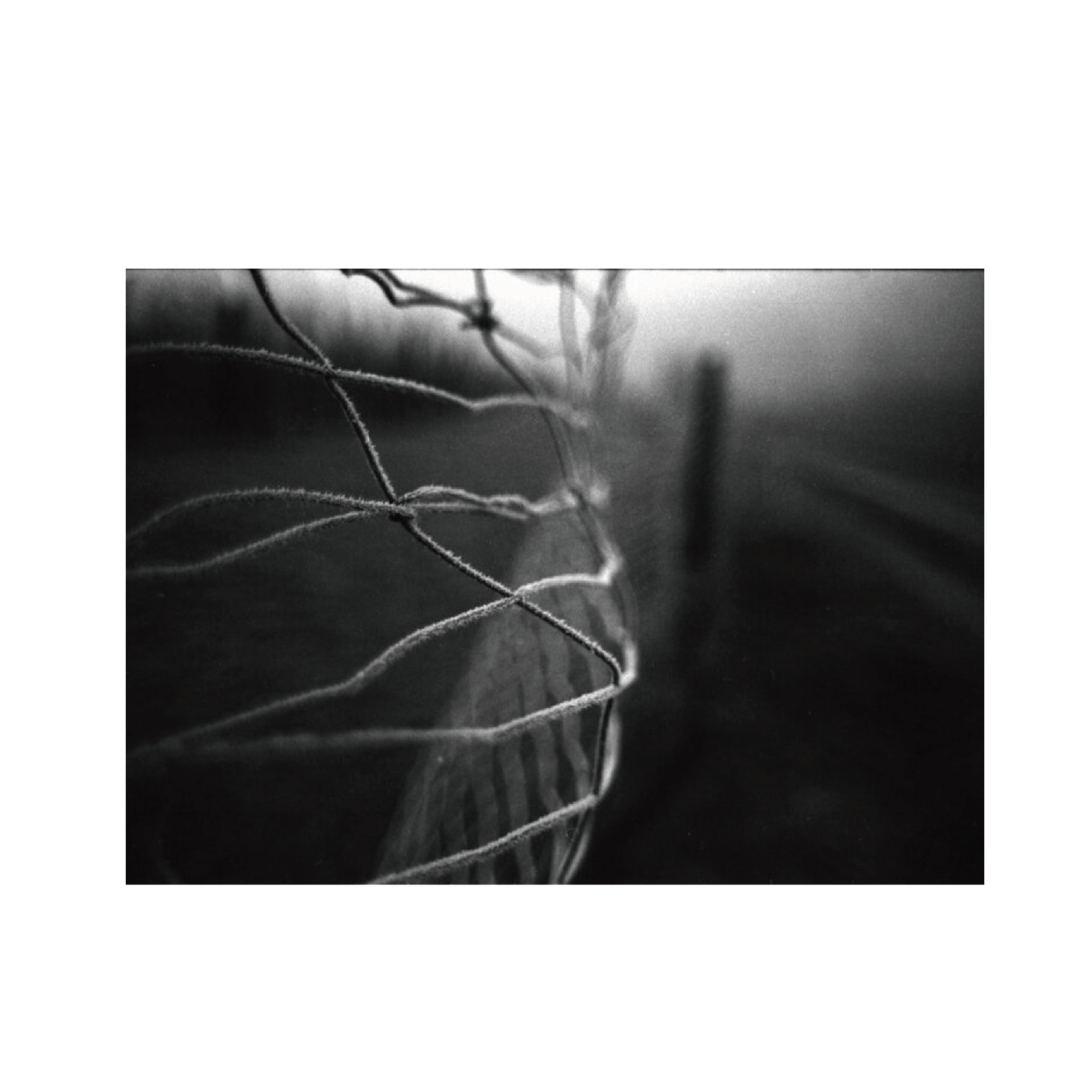 KONO! Monolit 400 B&W