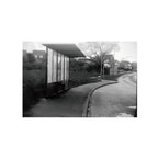 Ilford Ortho Plus