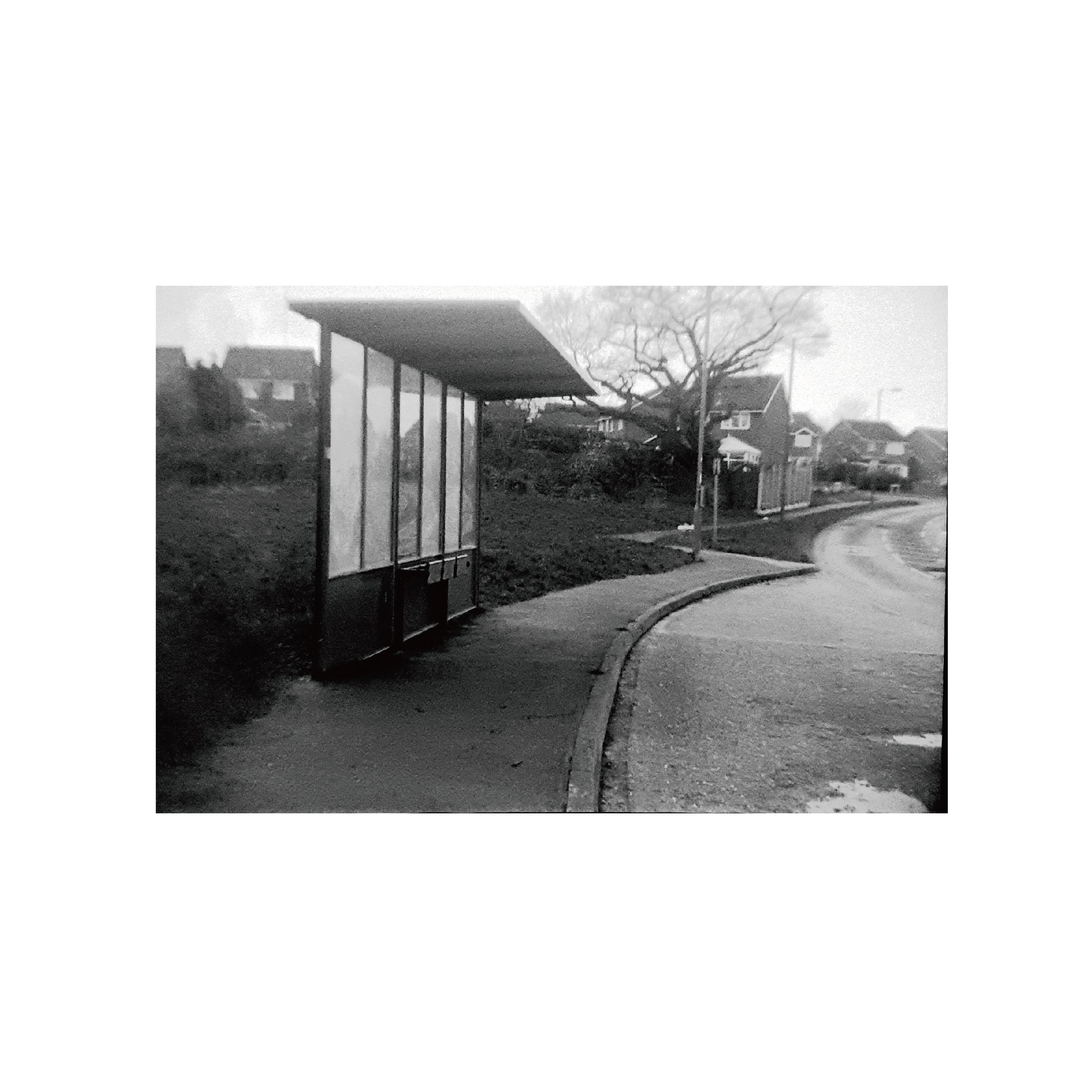 Ilford Ortho Plus