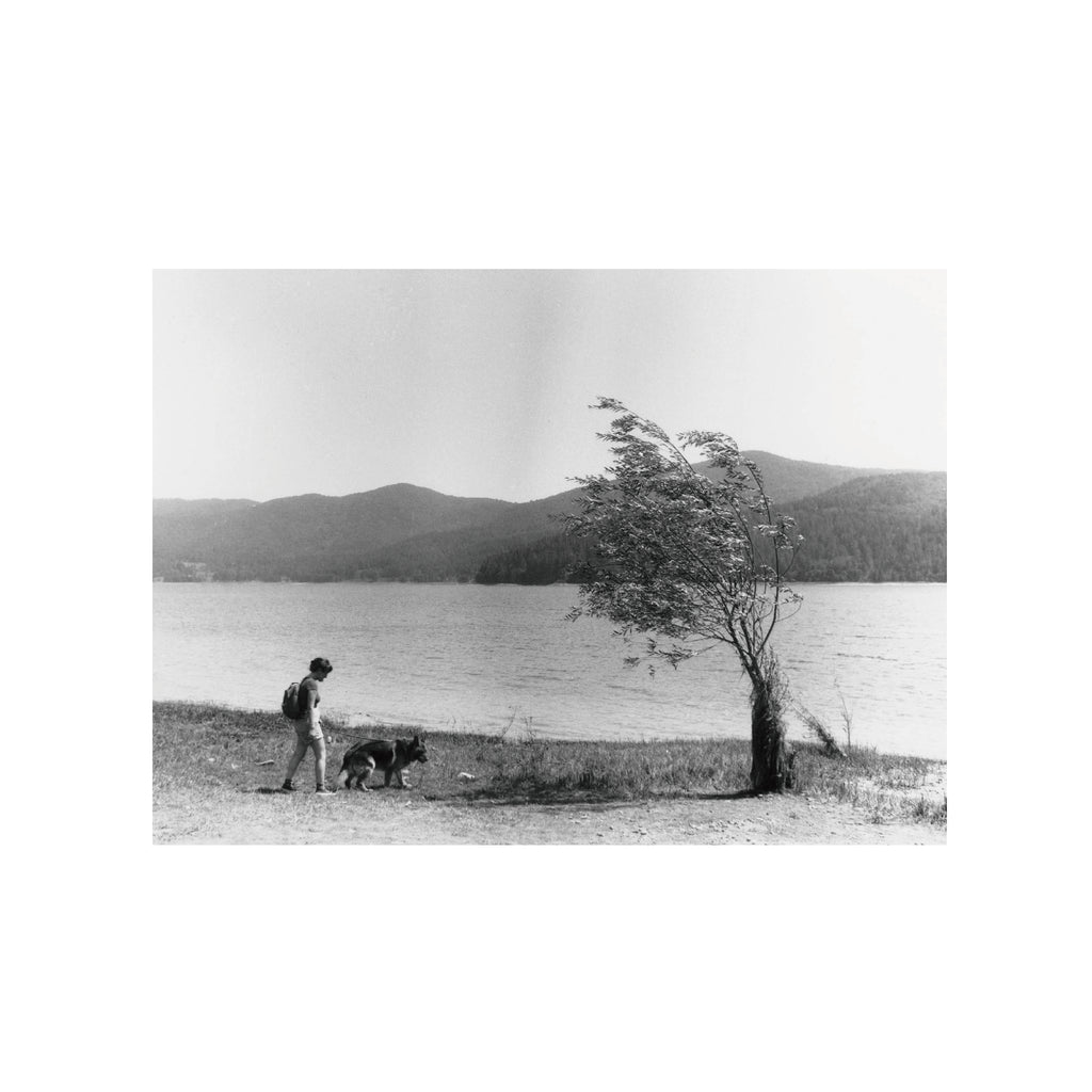 Rollei Ortho25 Plus