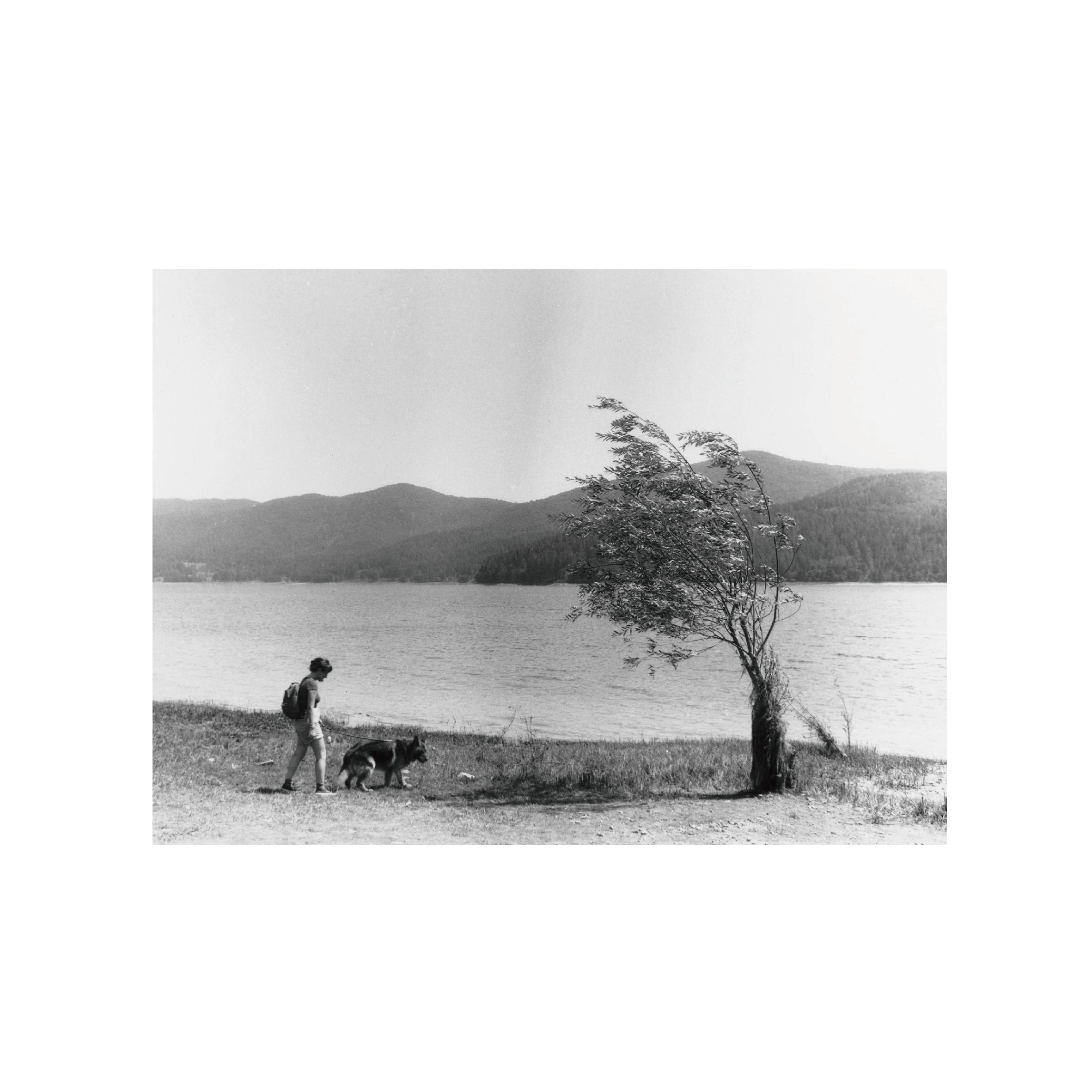 Rollei Ortho25 Plus