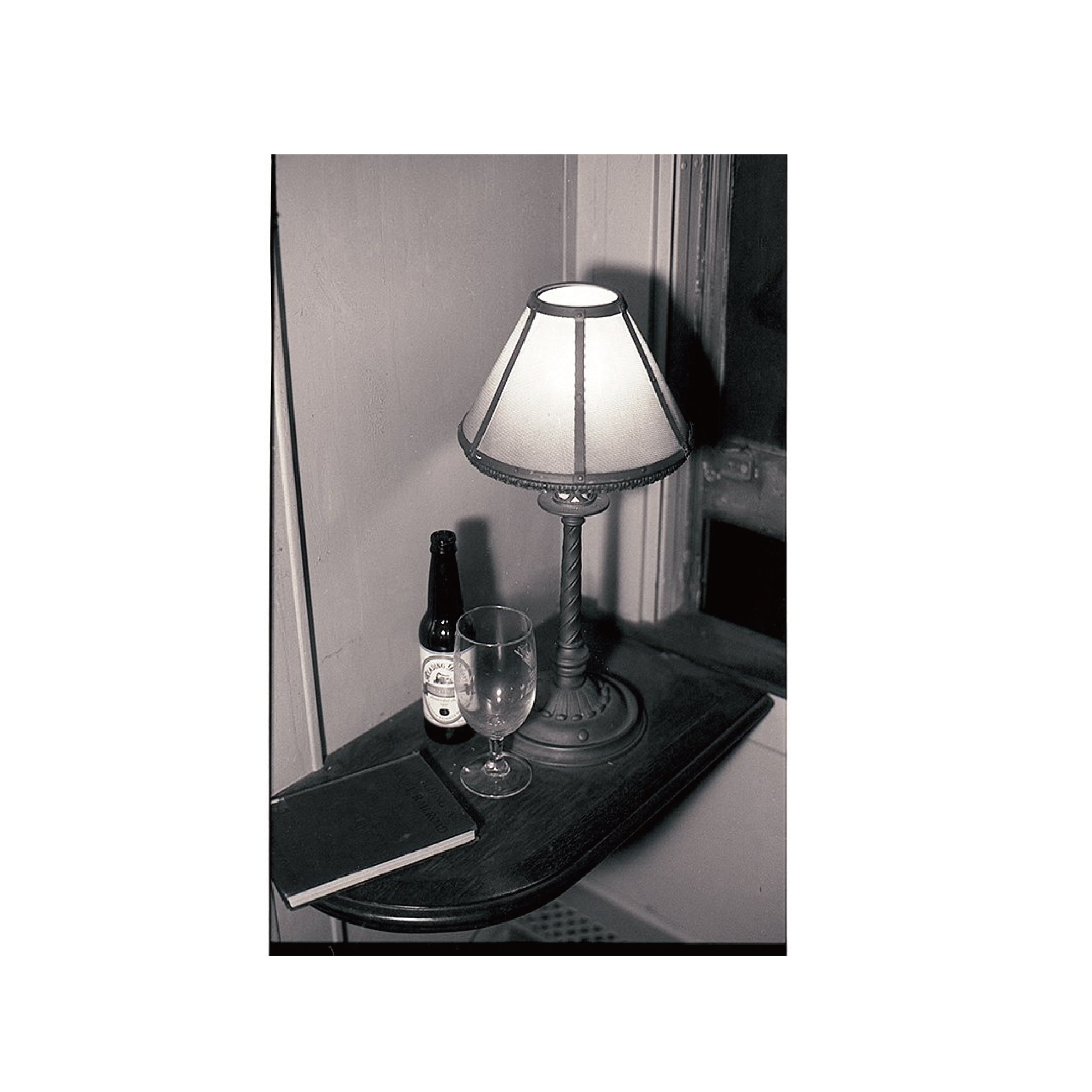 Ilford Ortho Plus