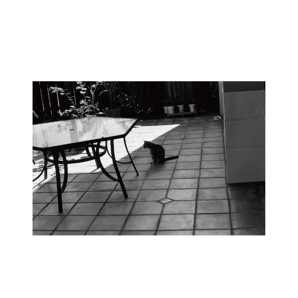 Kentmere PAN 100